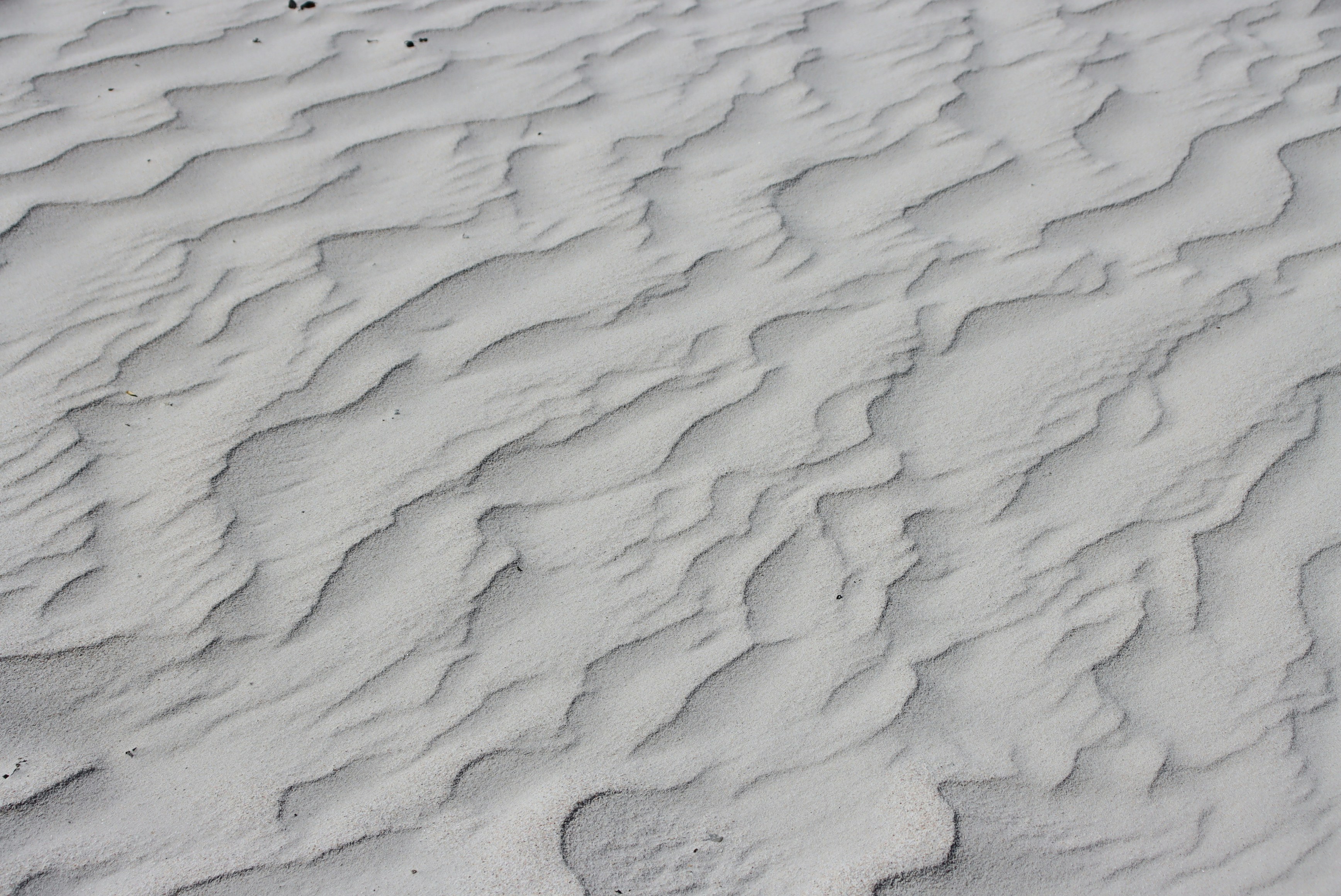 Photo by juantelle_louw_photography