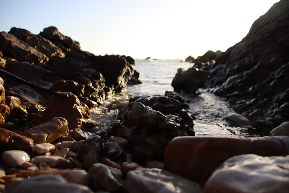 a rocky beach with a body of water in the background photo – Free South  africa Image on Unsplash