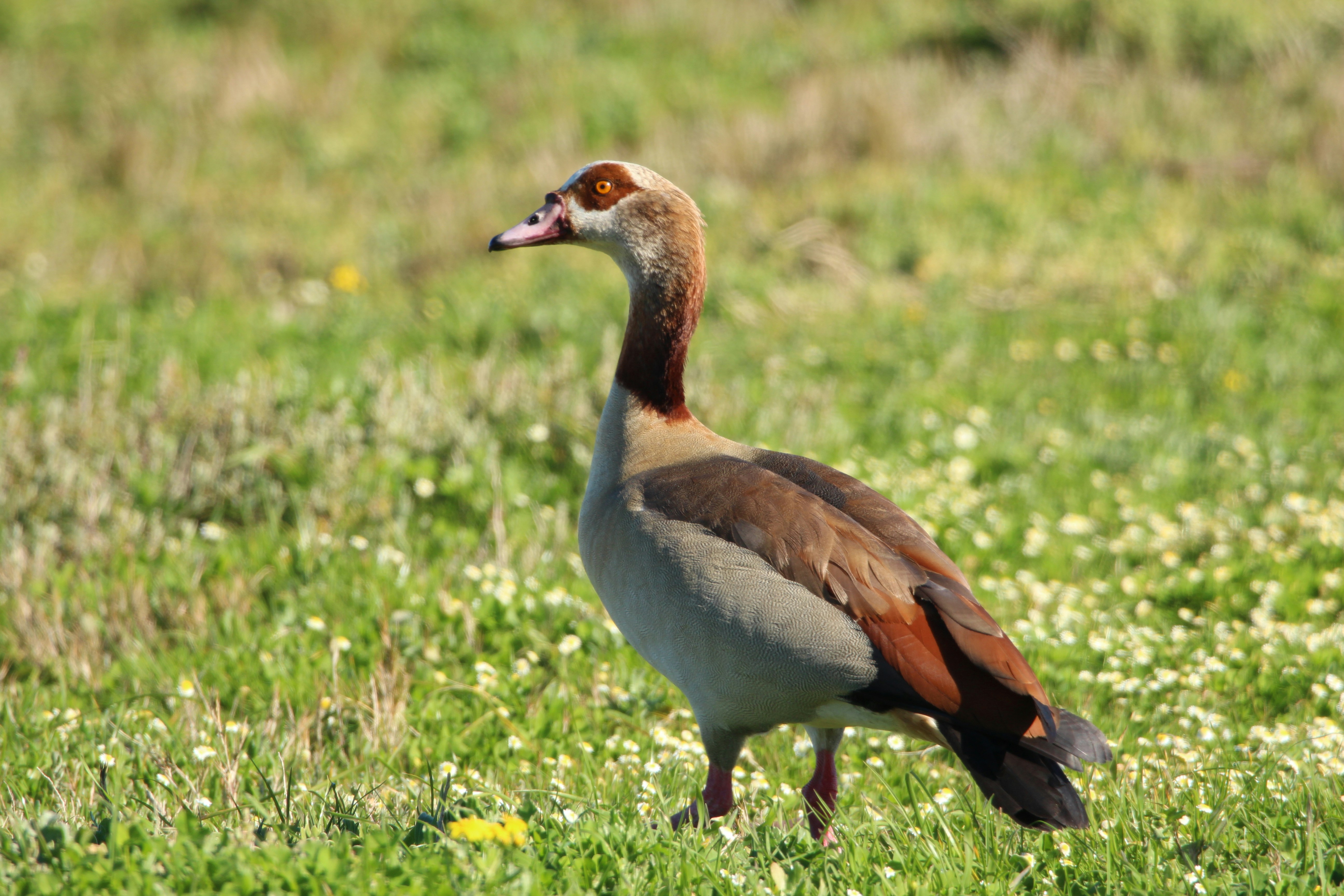 Photo by juantelle_louw_photography