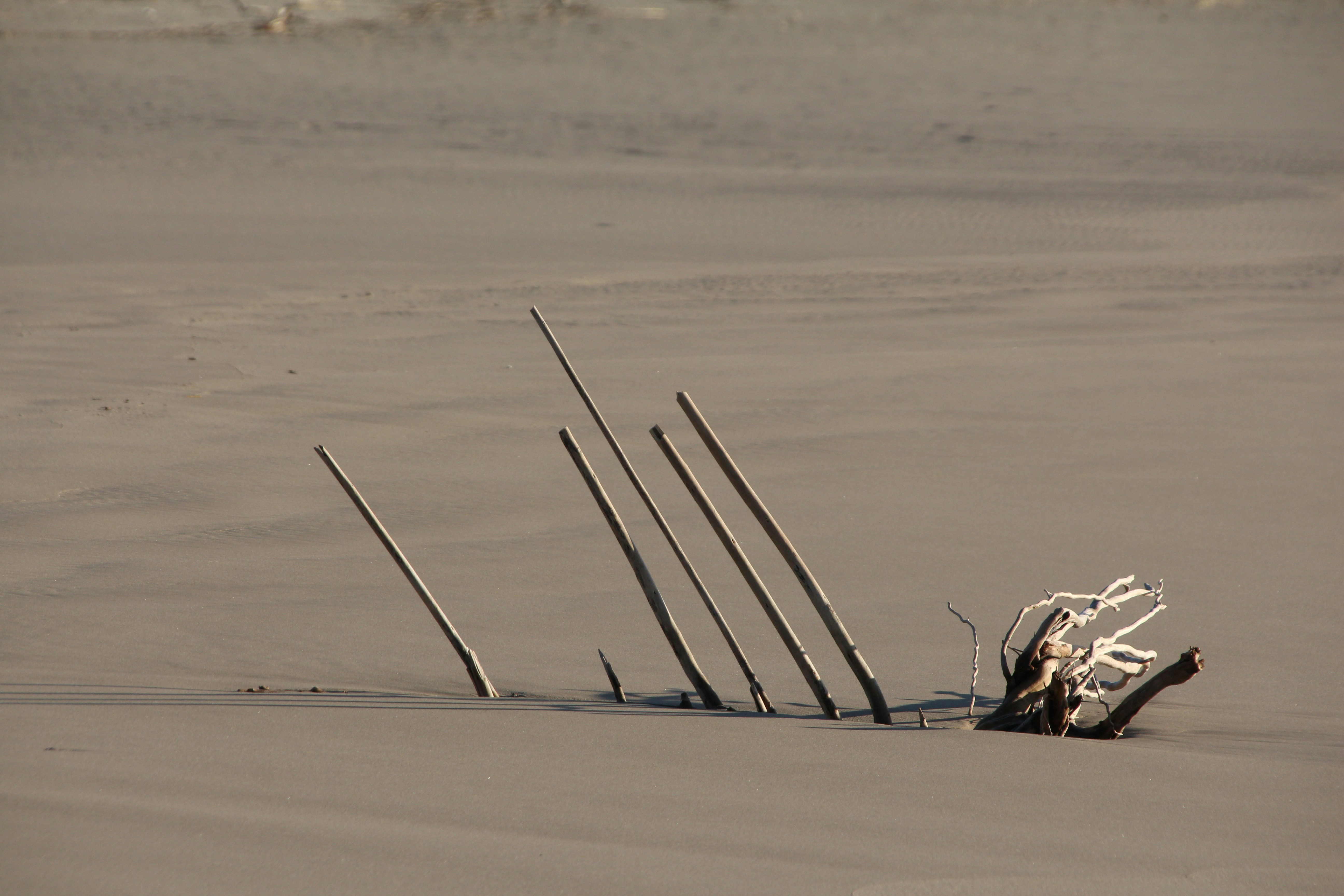 Photo by juantelle_louw_photography