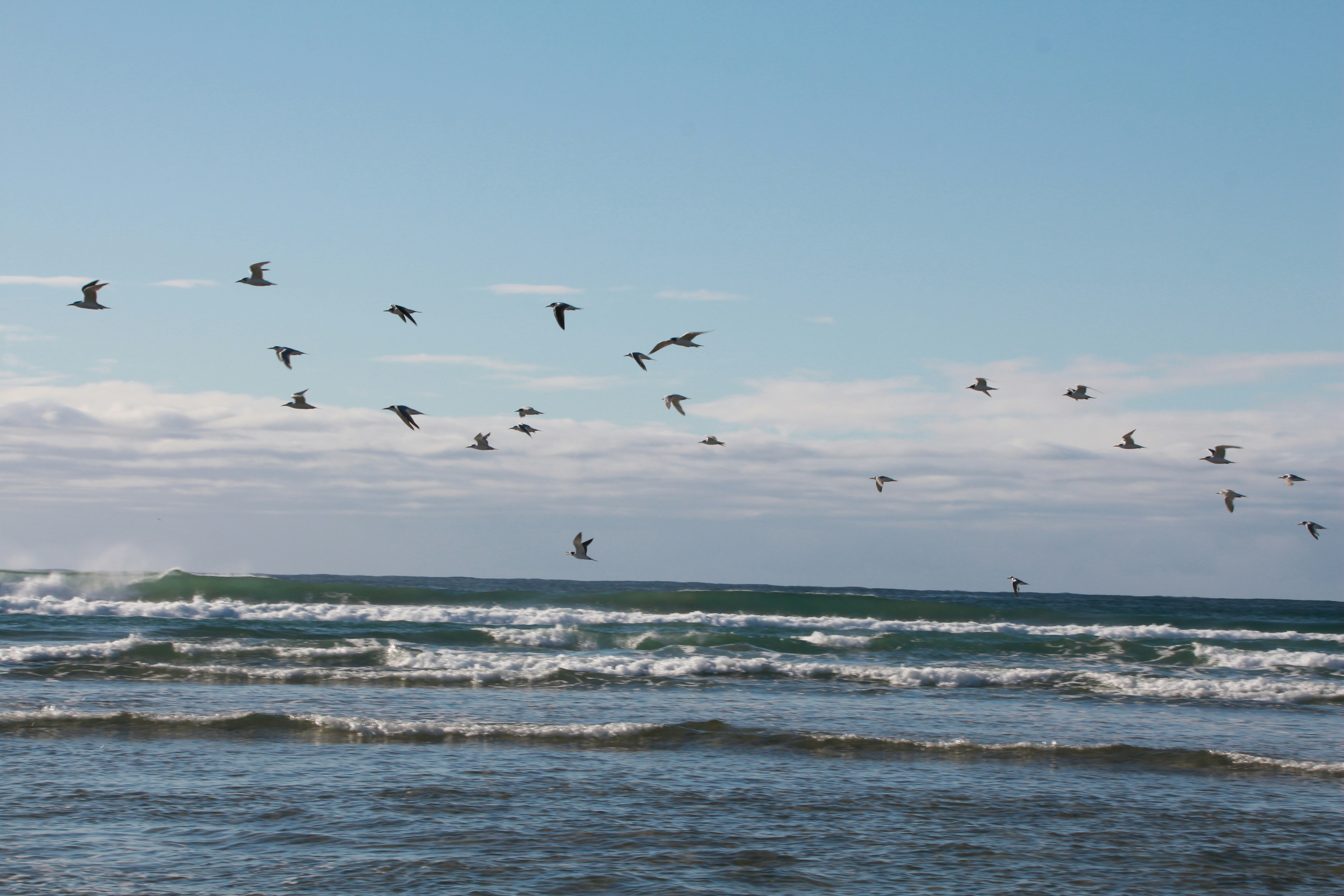 Photo by juantelle_louw_photography