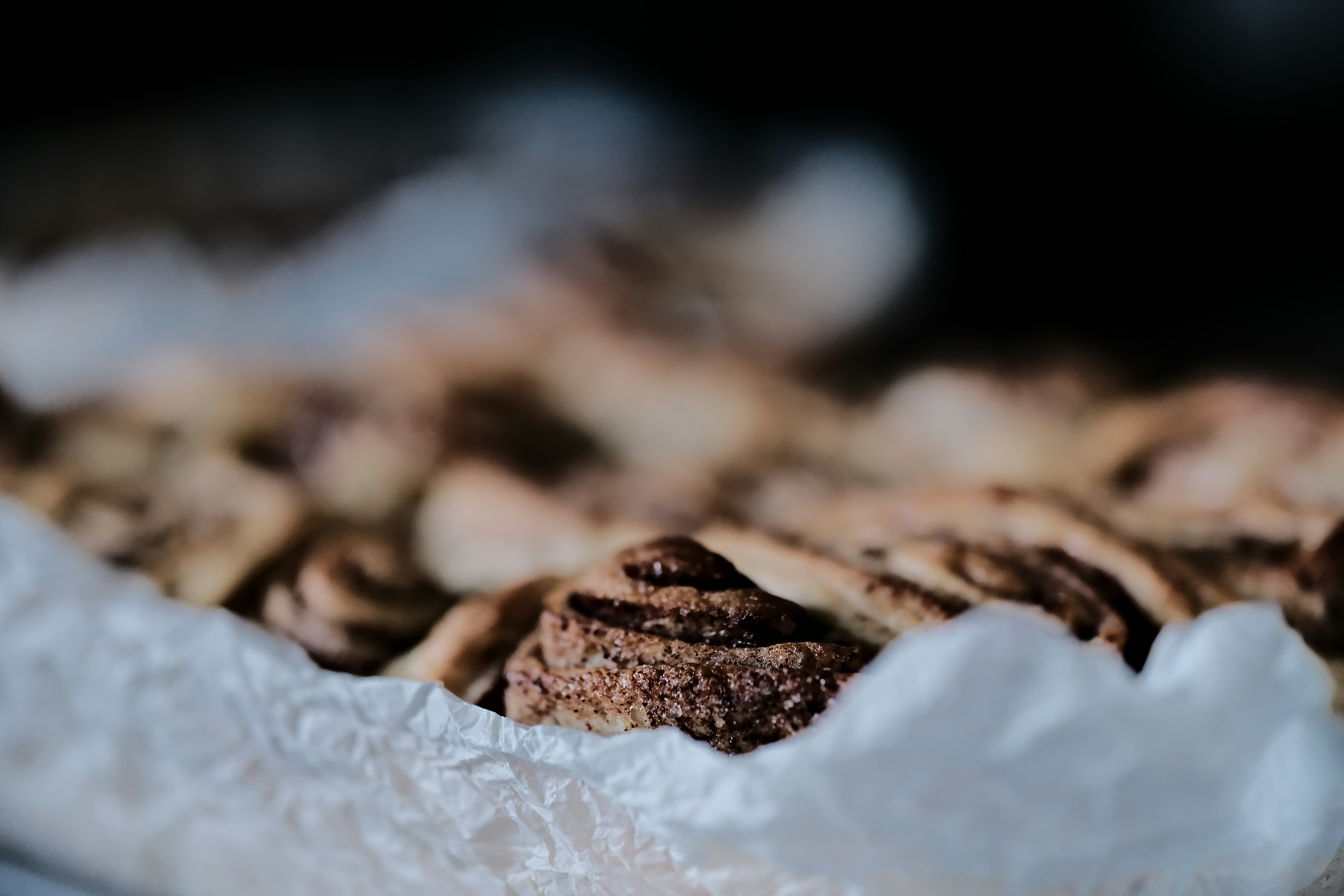 a close up of a brown snake