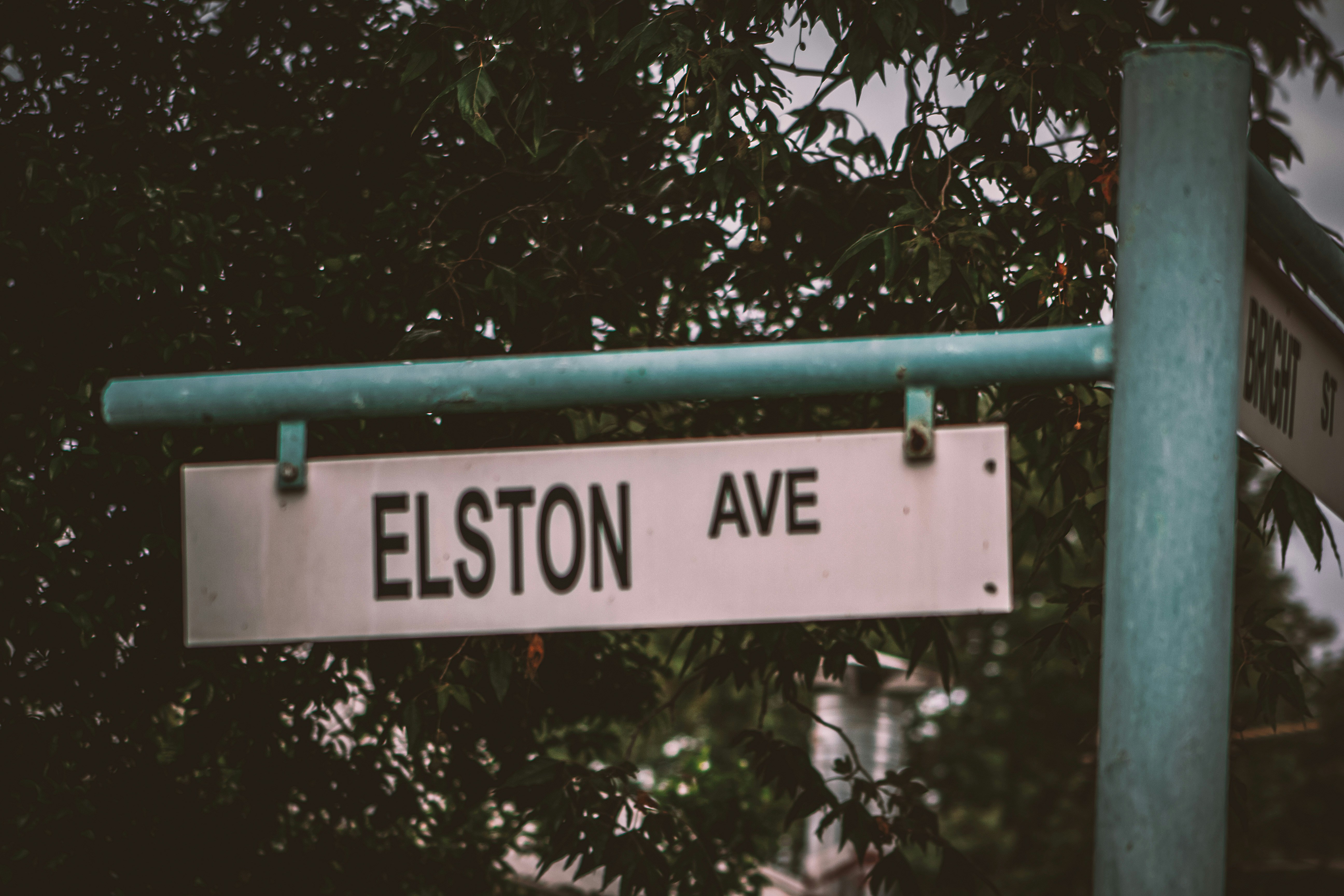 Elizabeth St Stop 5 Pictures | Download Free Images on Unsplash