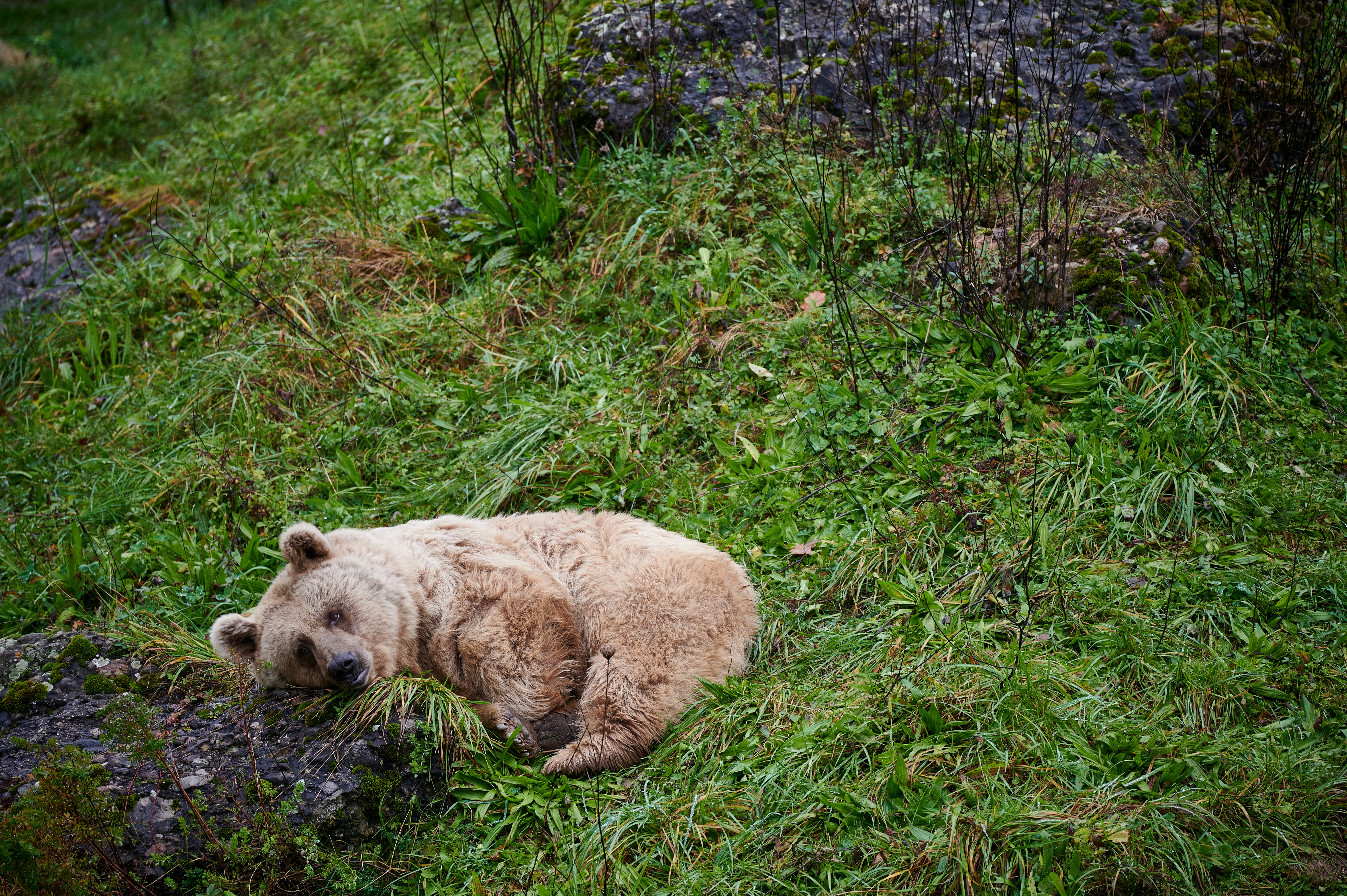 Photo by stefanschwinghammer