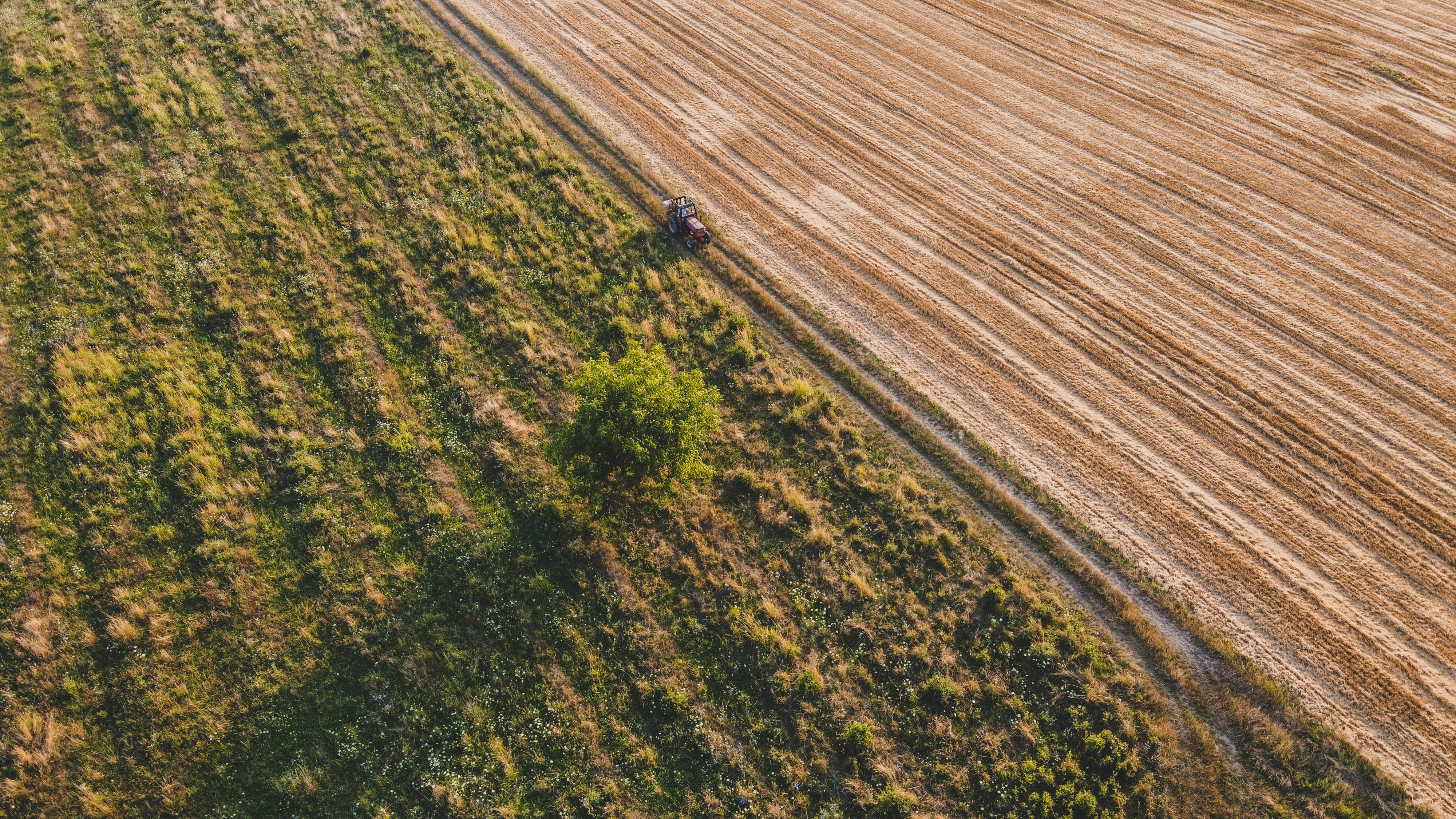 Photo by czapp_arpad