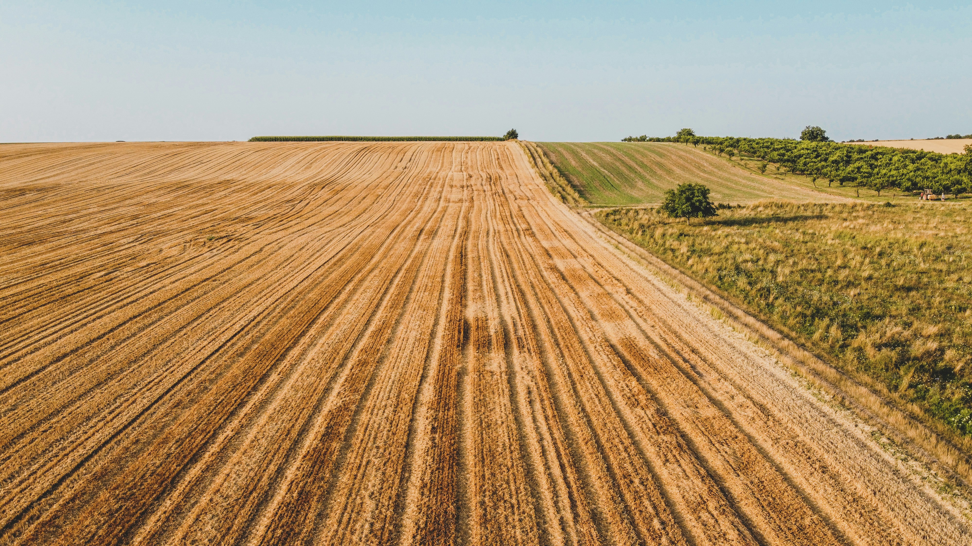 Photo by czapp_arpad