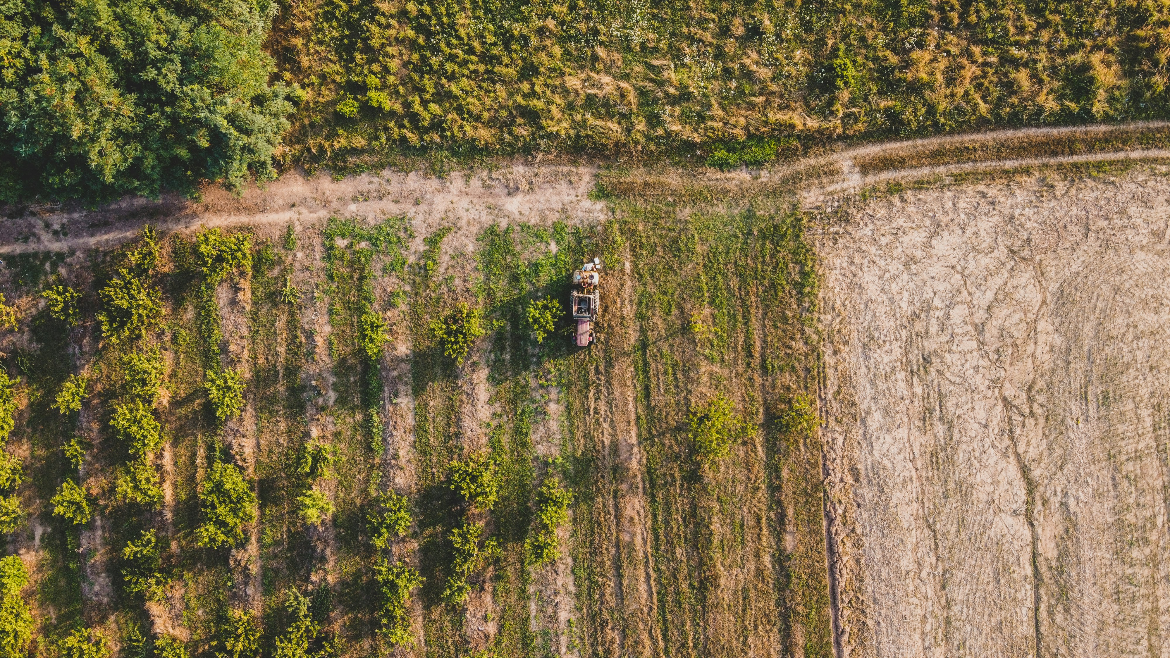 Photo by czapp_arpad