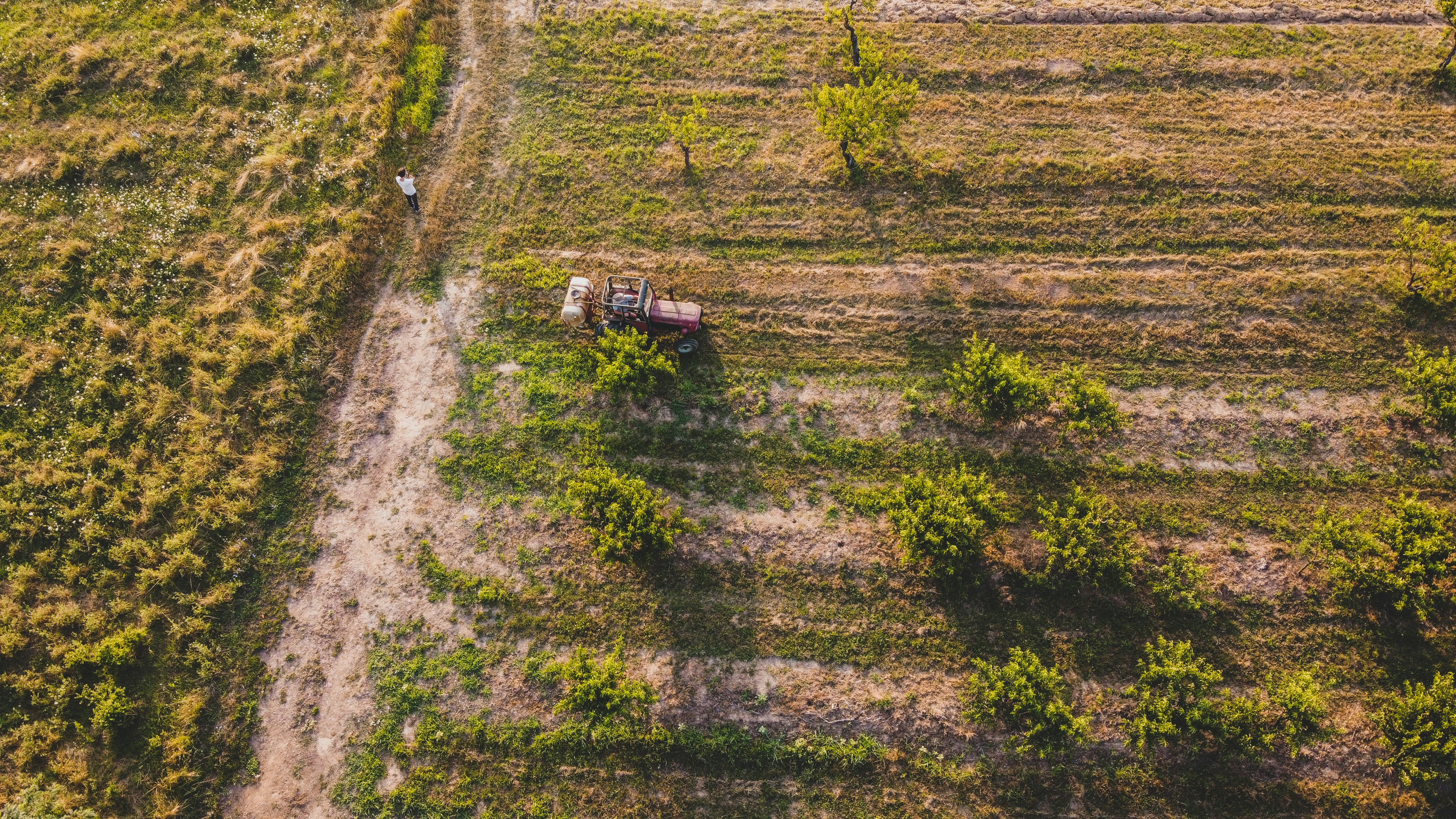 Photo by czapp_arpad