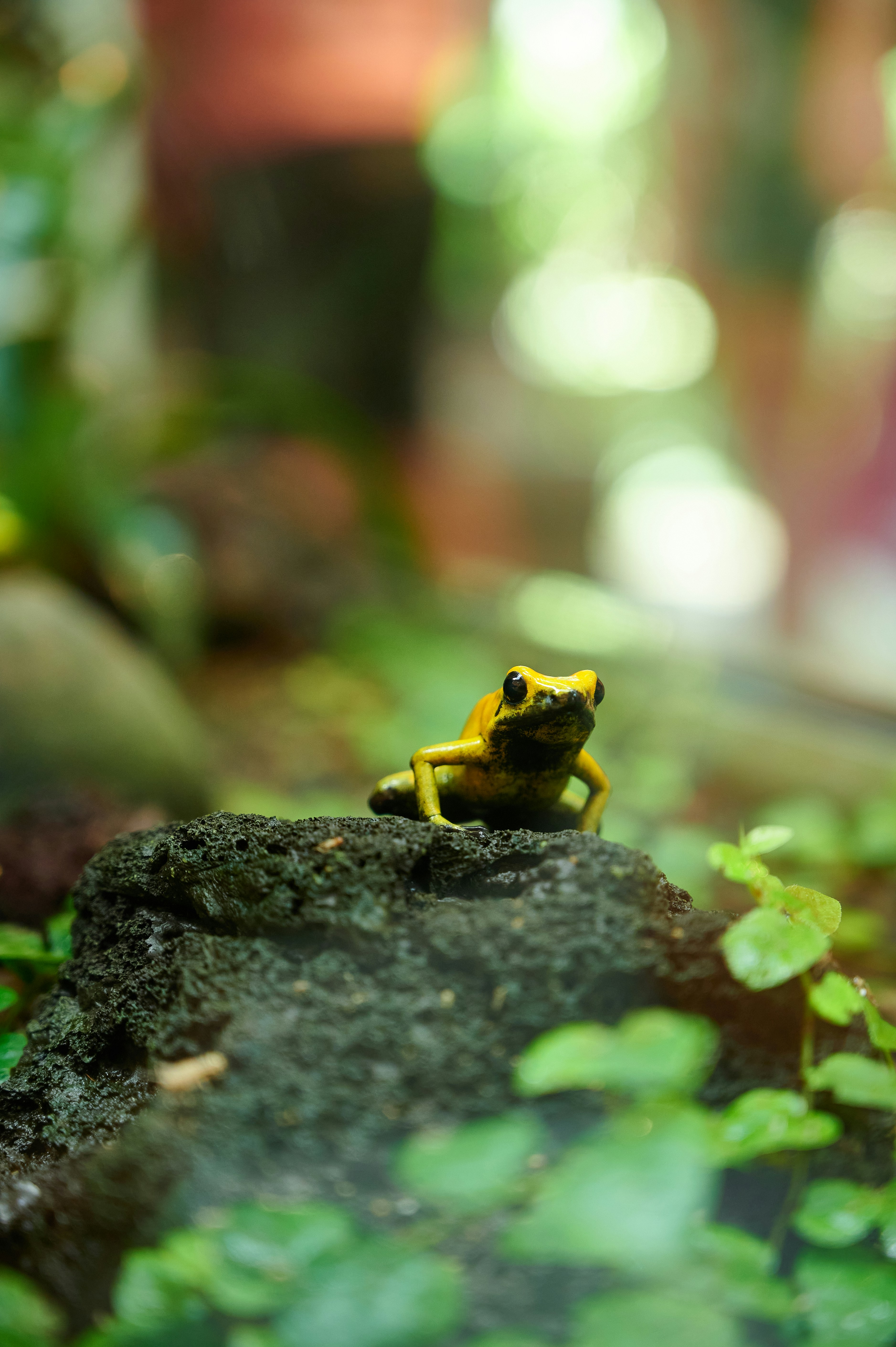 Photo by stefanschwinghammer
