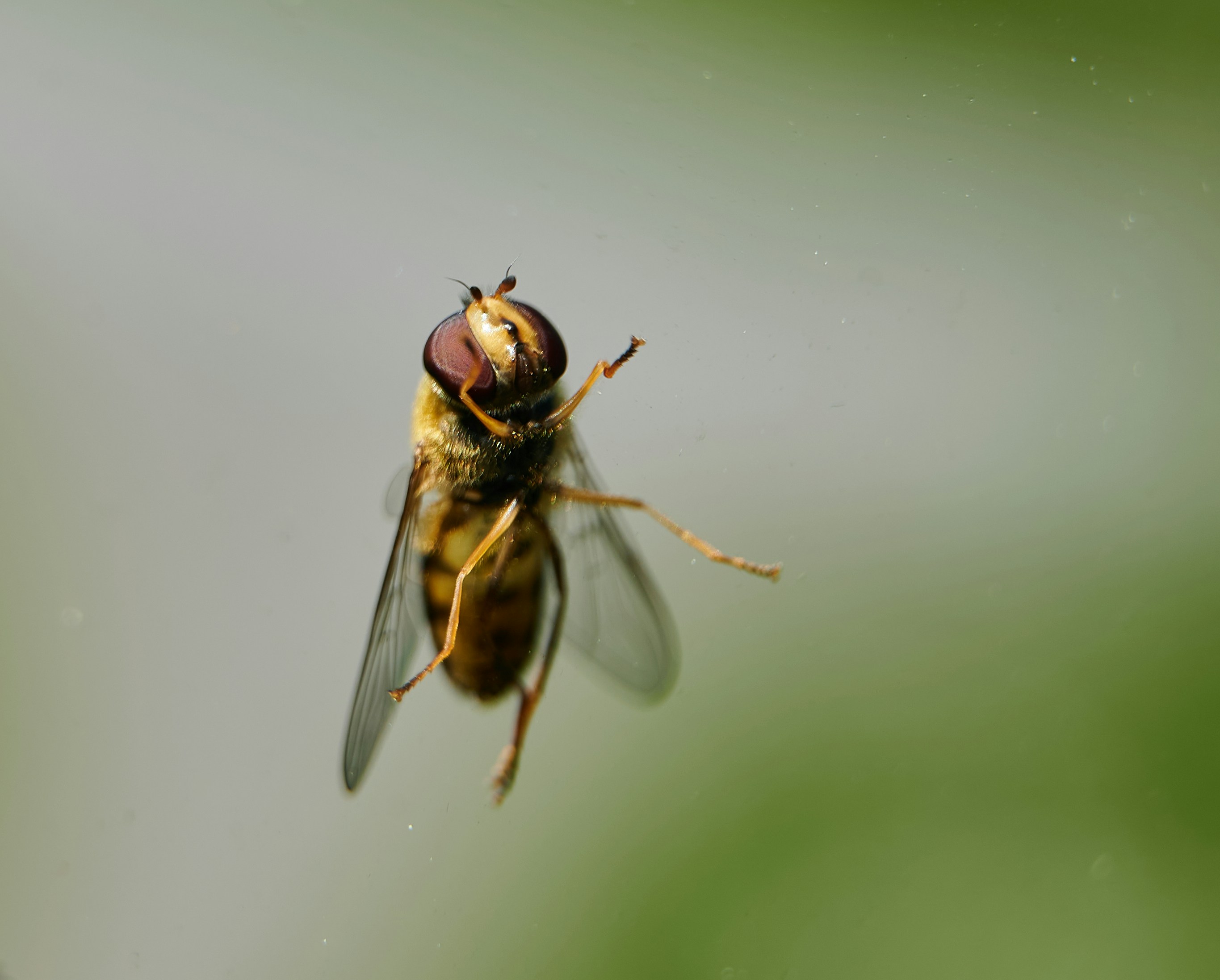 Photo by stefanschwinghammer