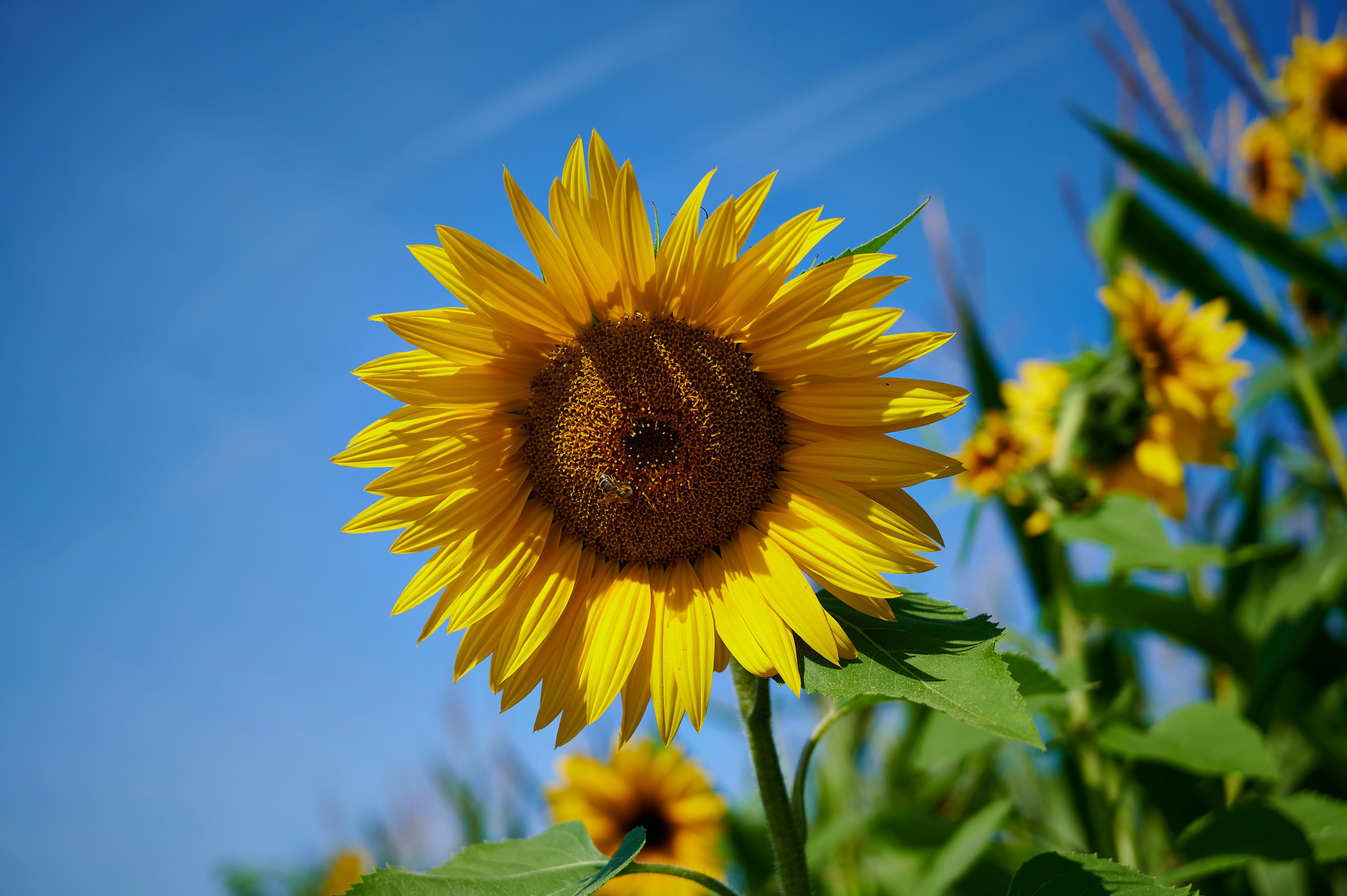 Photo by stefanschwinghammer