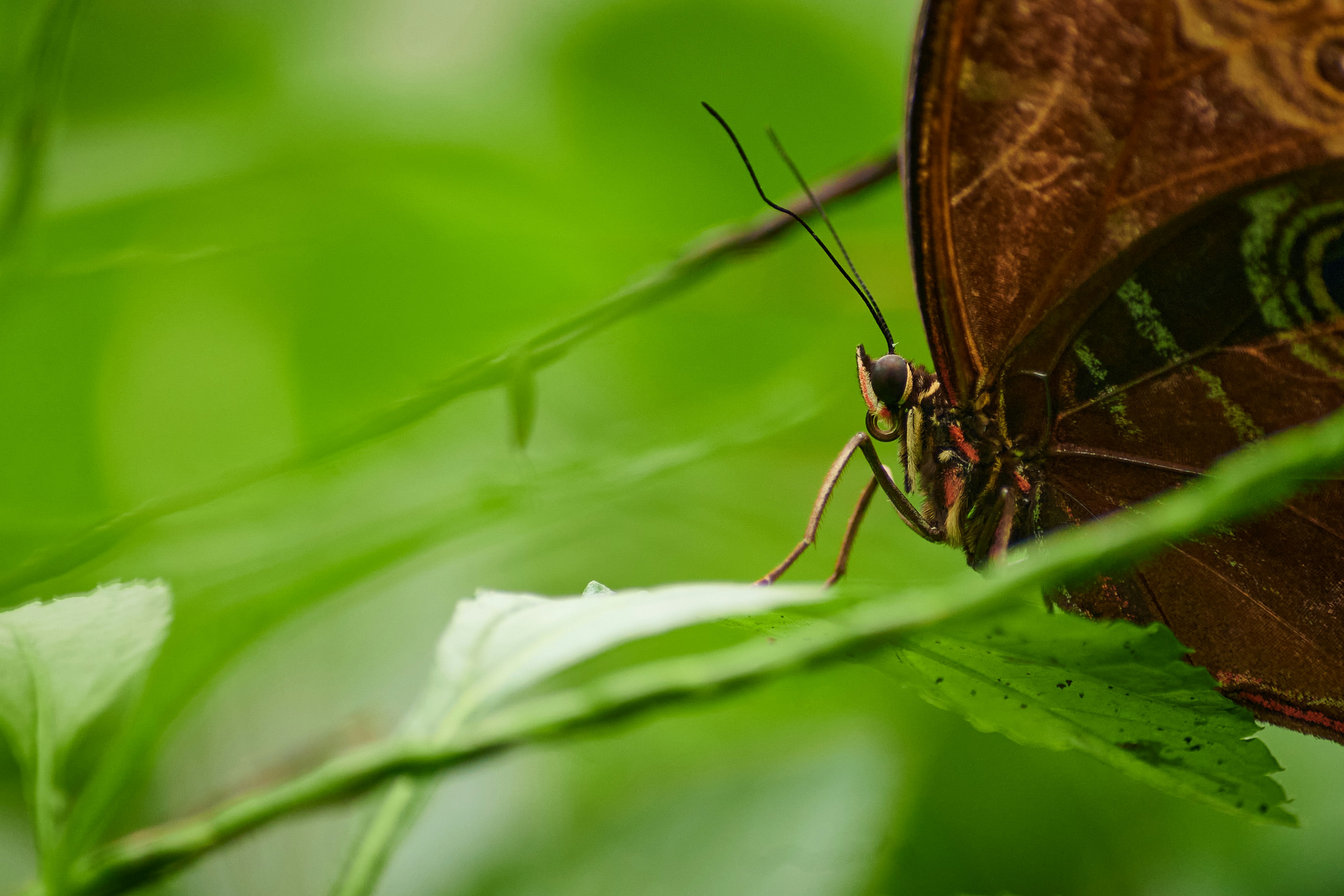 Photo by stefanschwinghammer