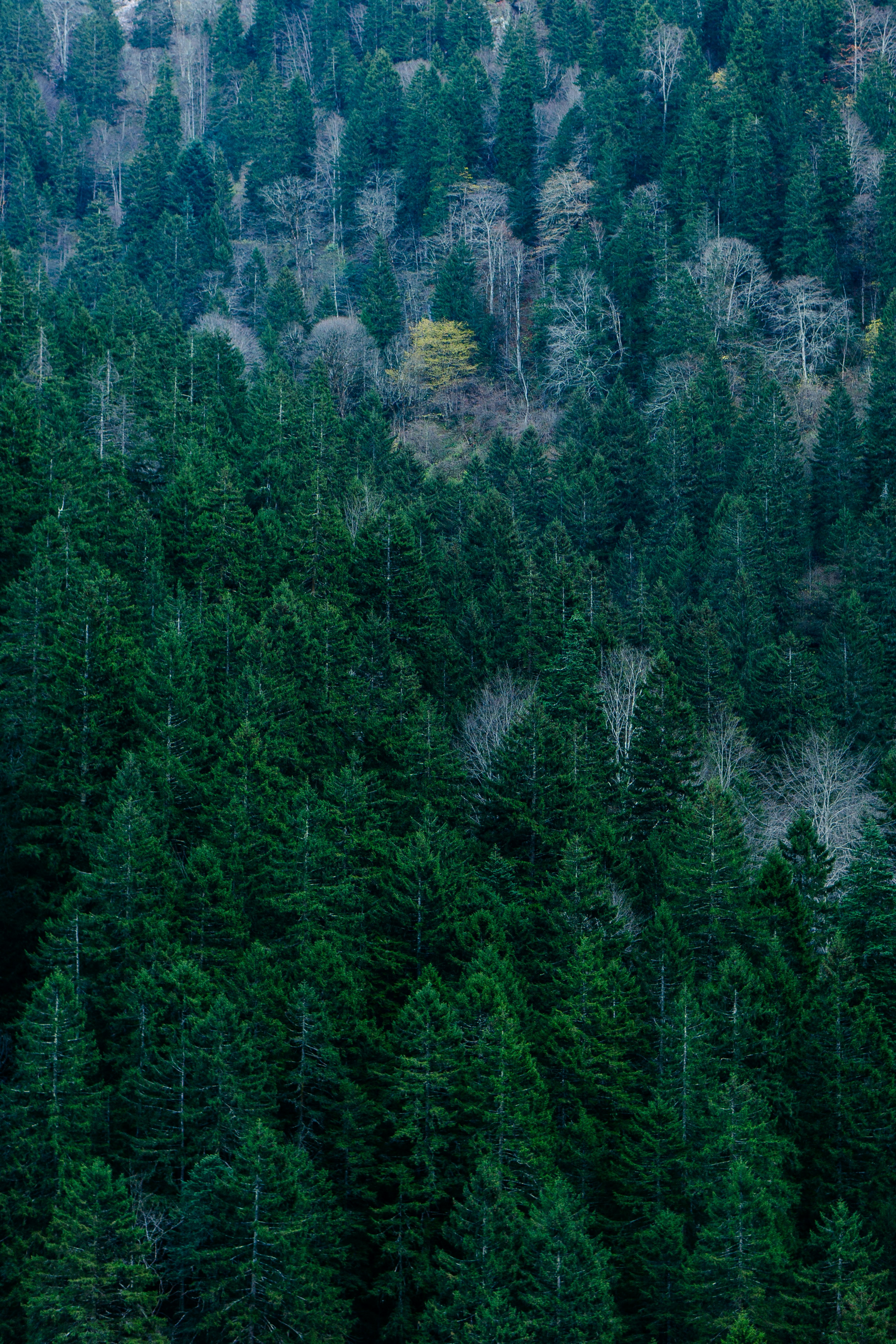 Photo by astashov_artem