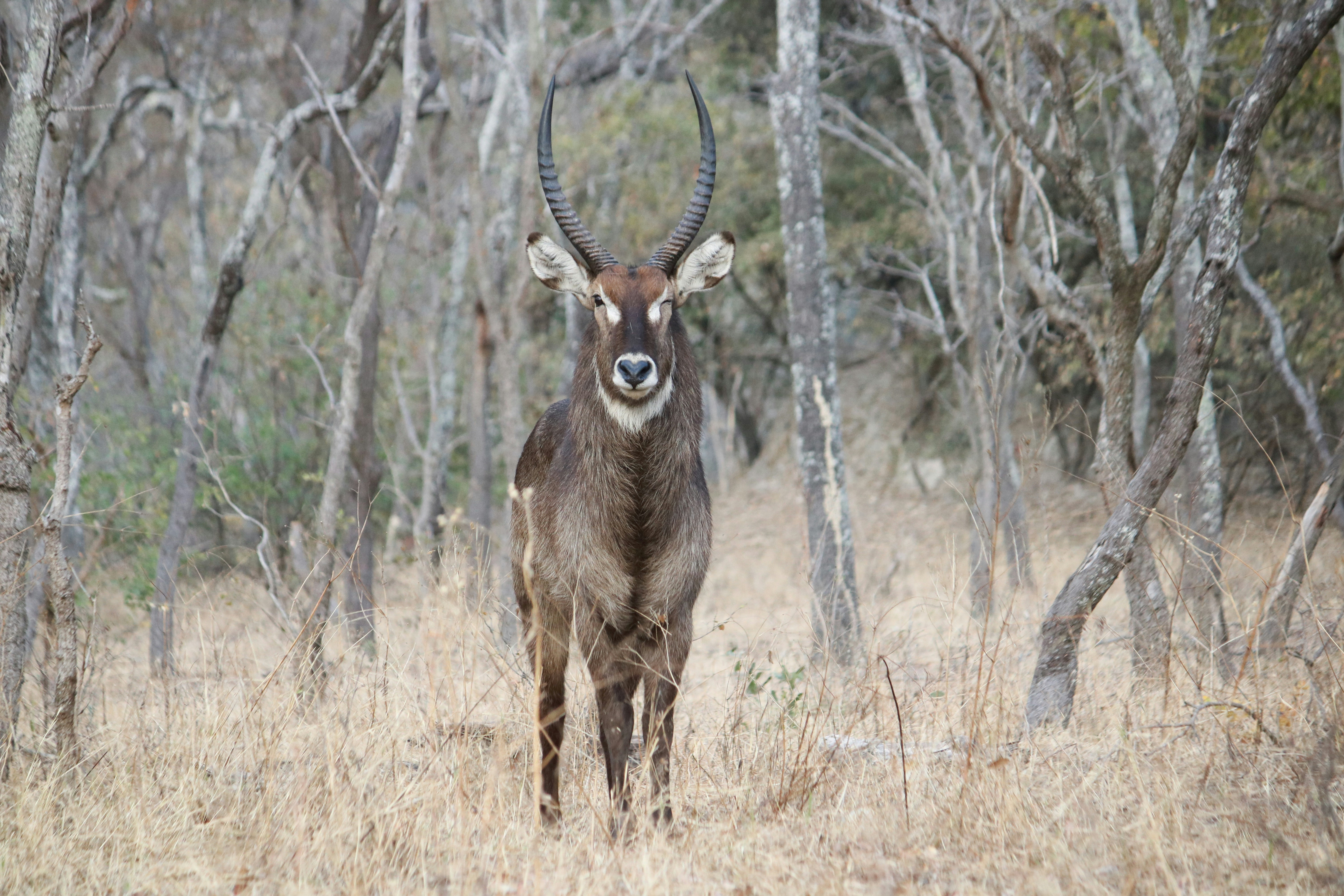 Photo by littlenaturelove