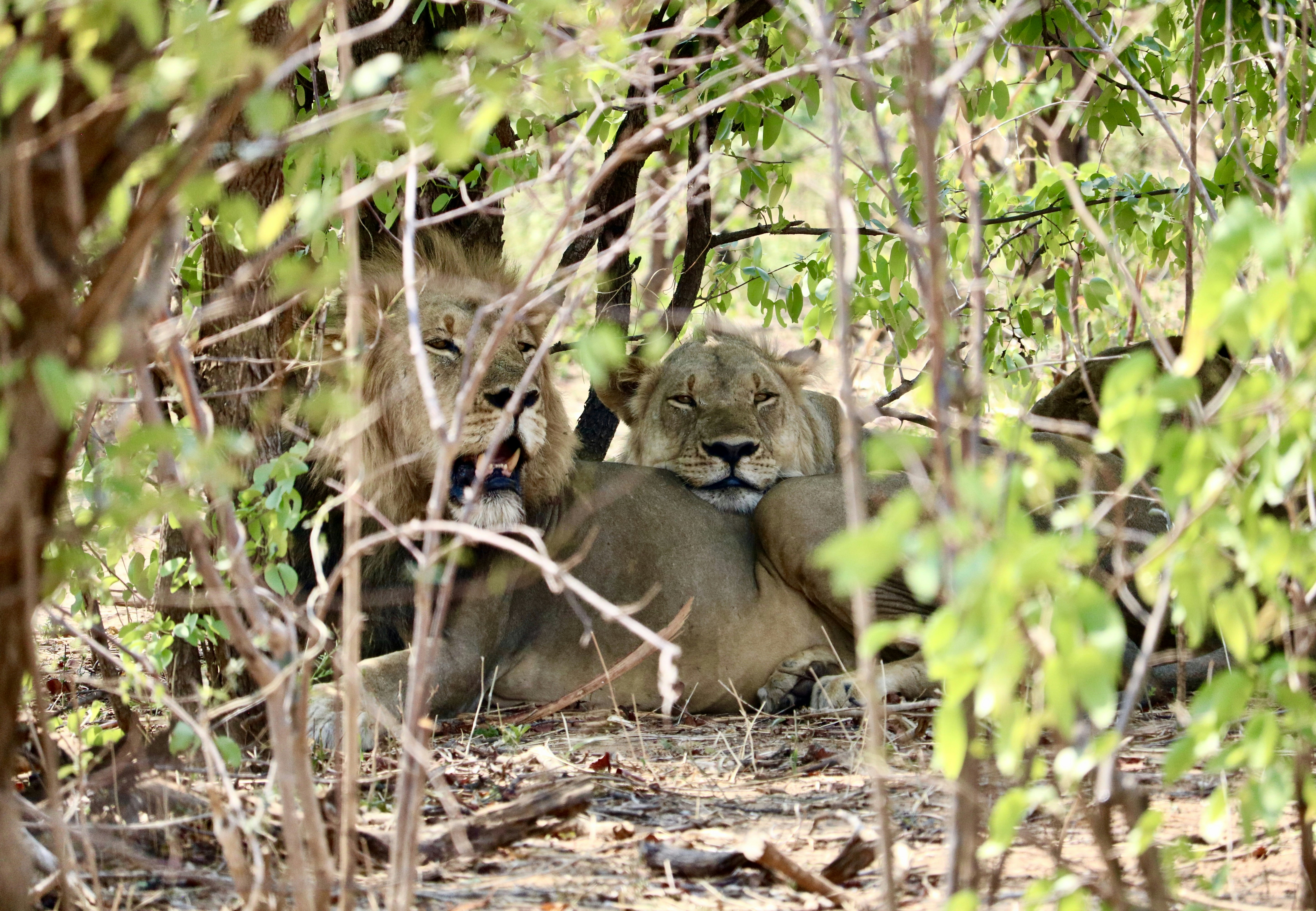 Photo by littlenaturelove