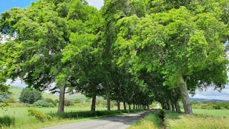Volunteers repairing a rural road under a bright green sky symbolizing growth.