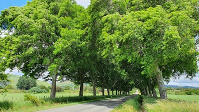 Volunteers repairing a rural road under a bright green sky symbolizing growth.