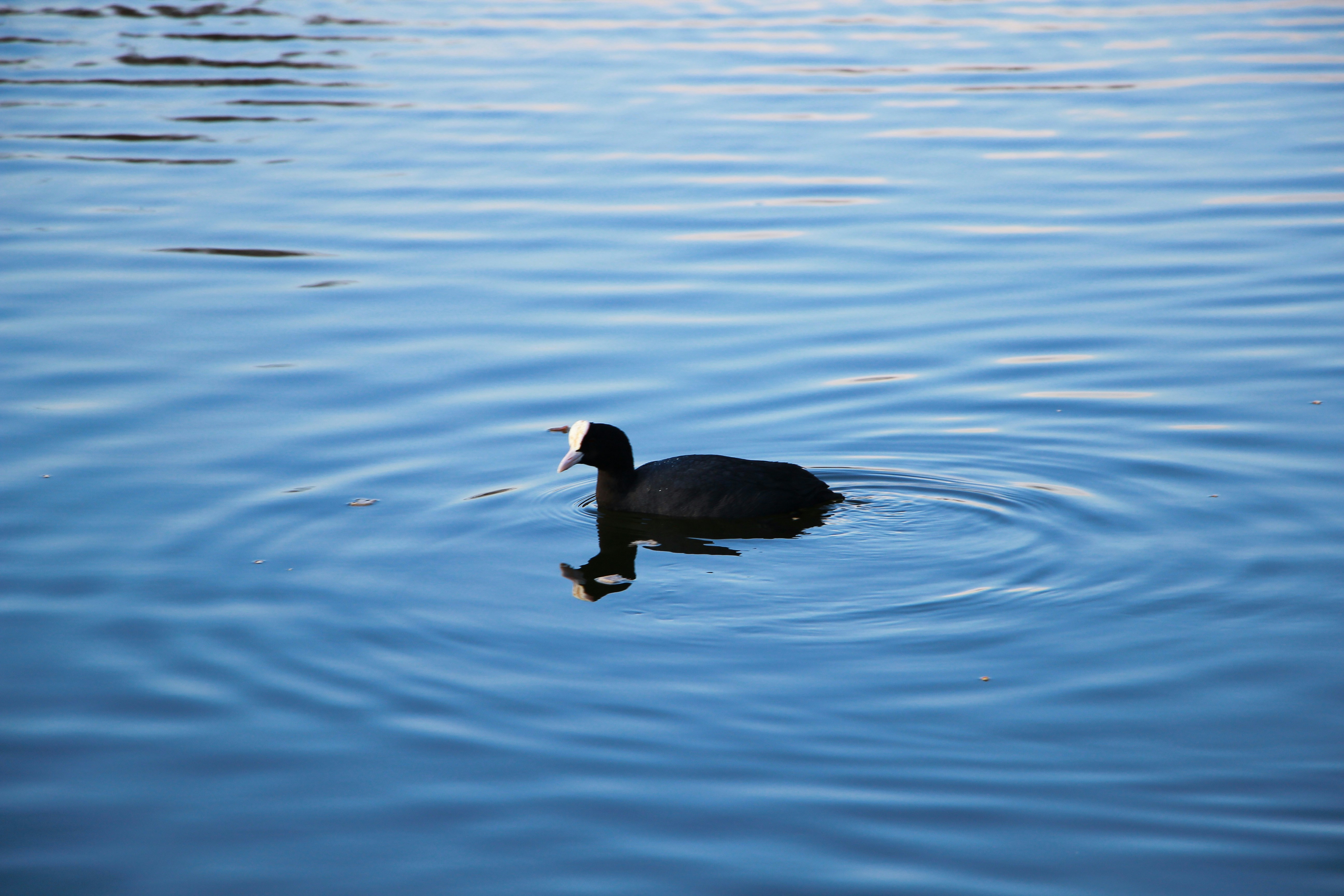 Photo by tashakostyuk