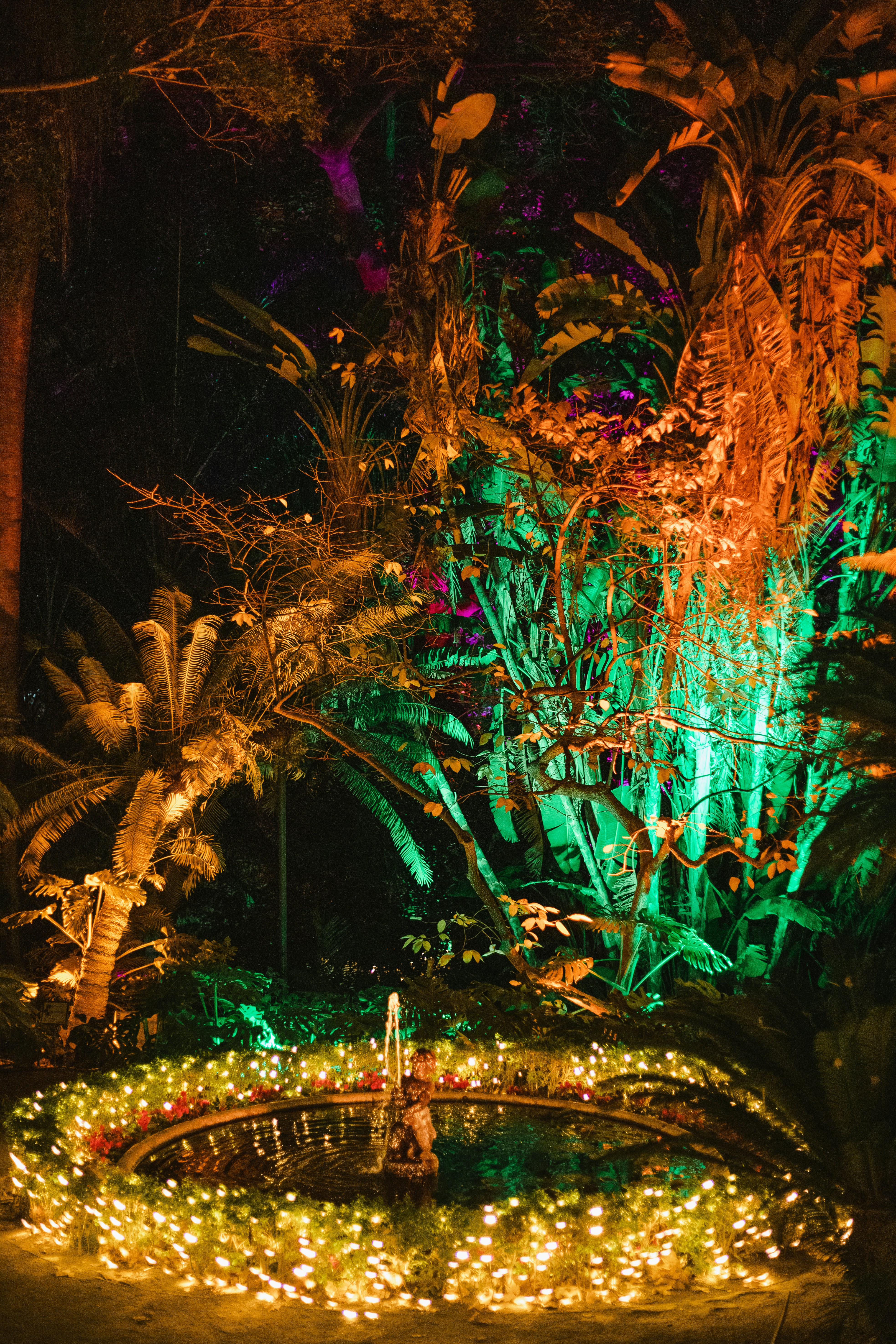 Photo by juliamatuzova