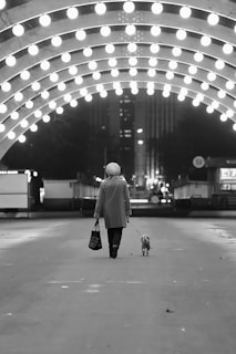A person wearing a coat and hat walks a small dog on a leash under a canopy of bright lights. The scene is set in an urban environment with buildings visible in the background. The ground is flat and spacious, with streetlights illuminating the pathway.
