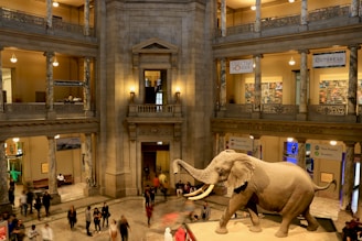 an elephant statue in a museum