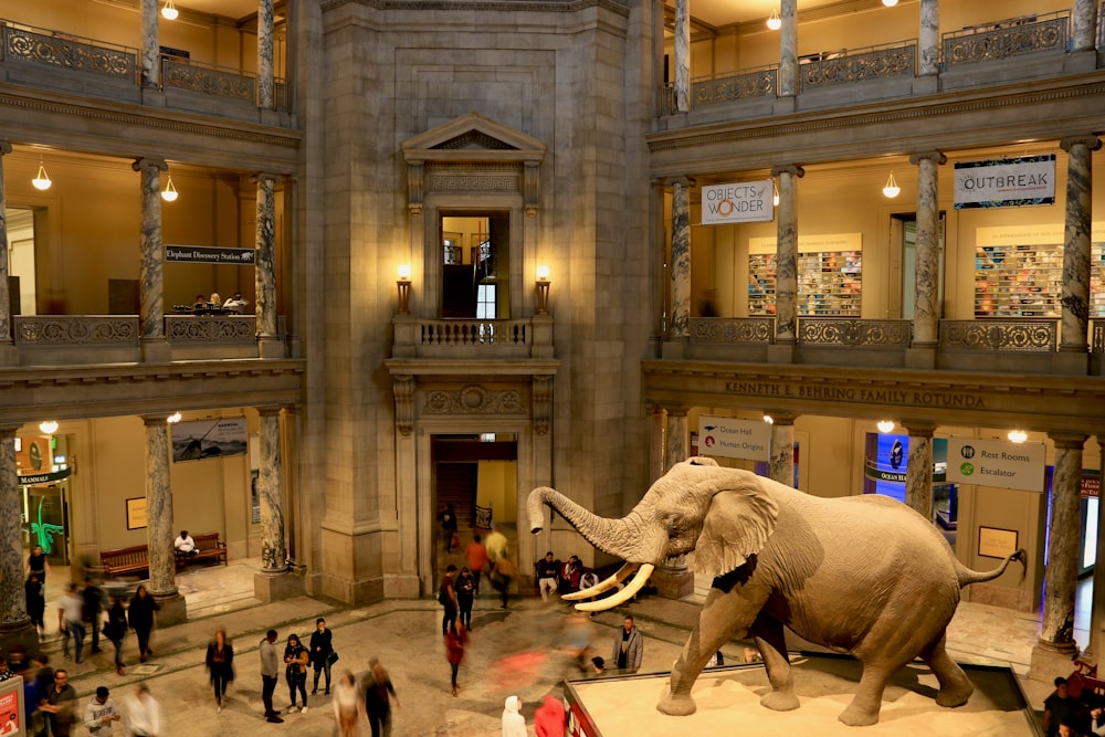 an elephant statue in a museum