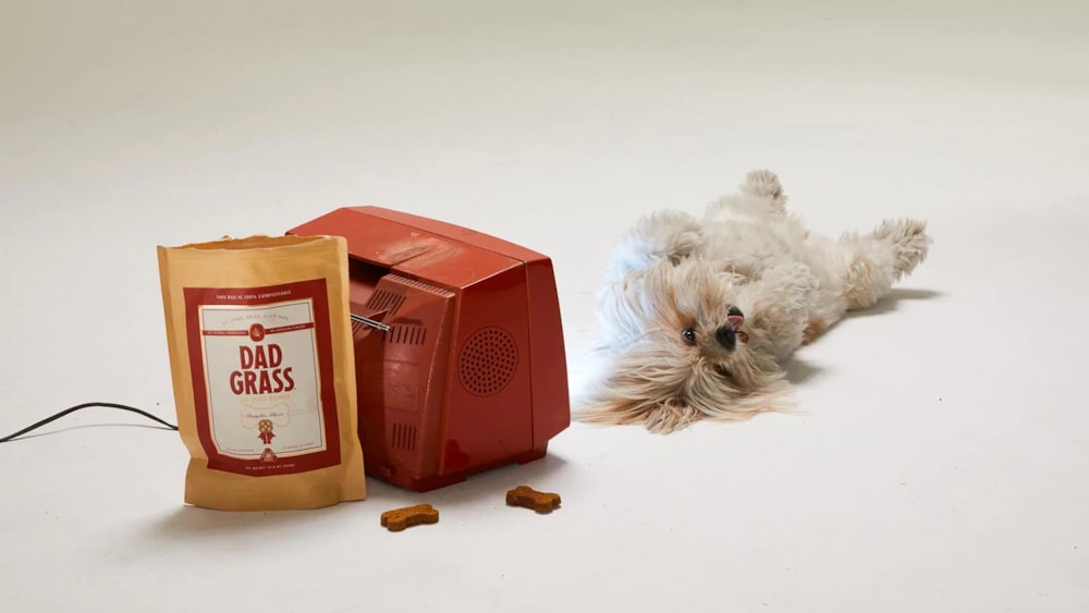a dog lying next to a small box with a red label