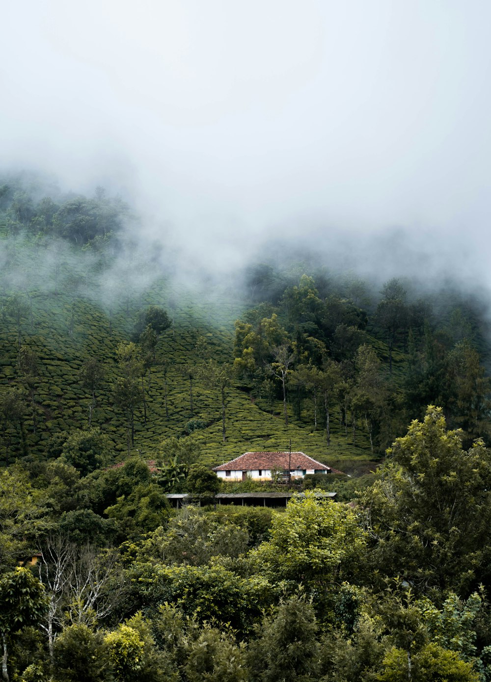 a house surrounded by trees