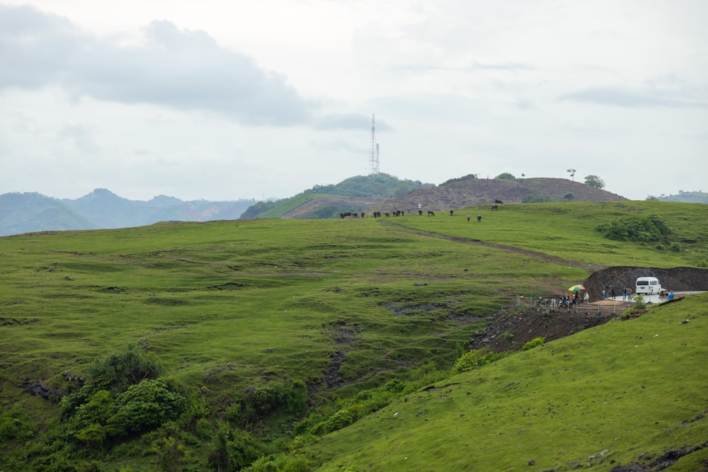 a grassy field with a building in the distance