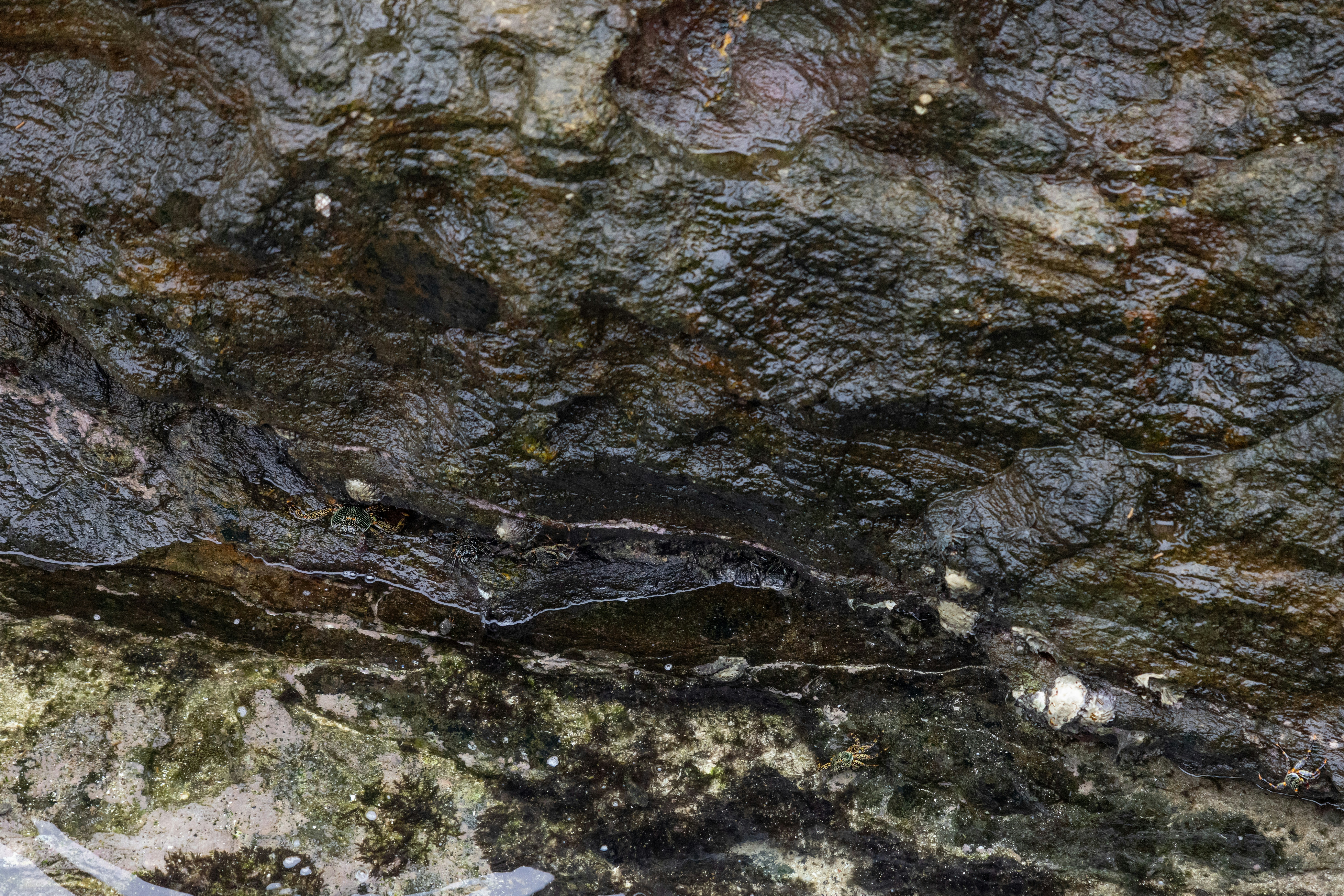 Photo by corbettcampbell