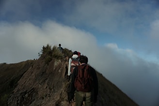 a group of people climbing a mountain