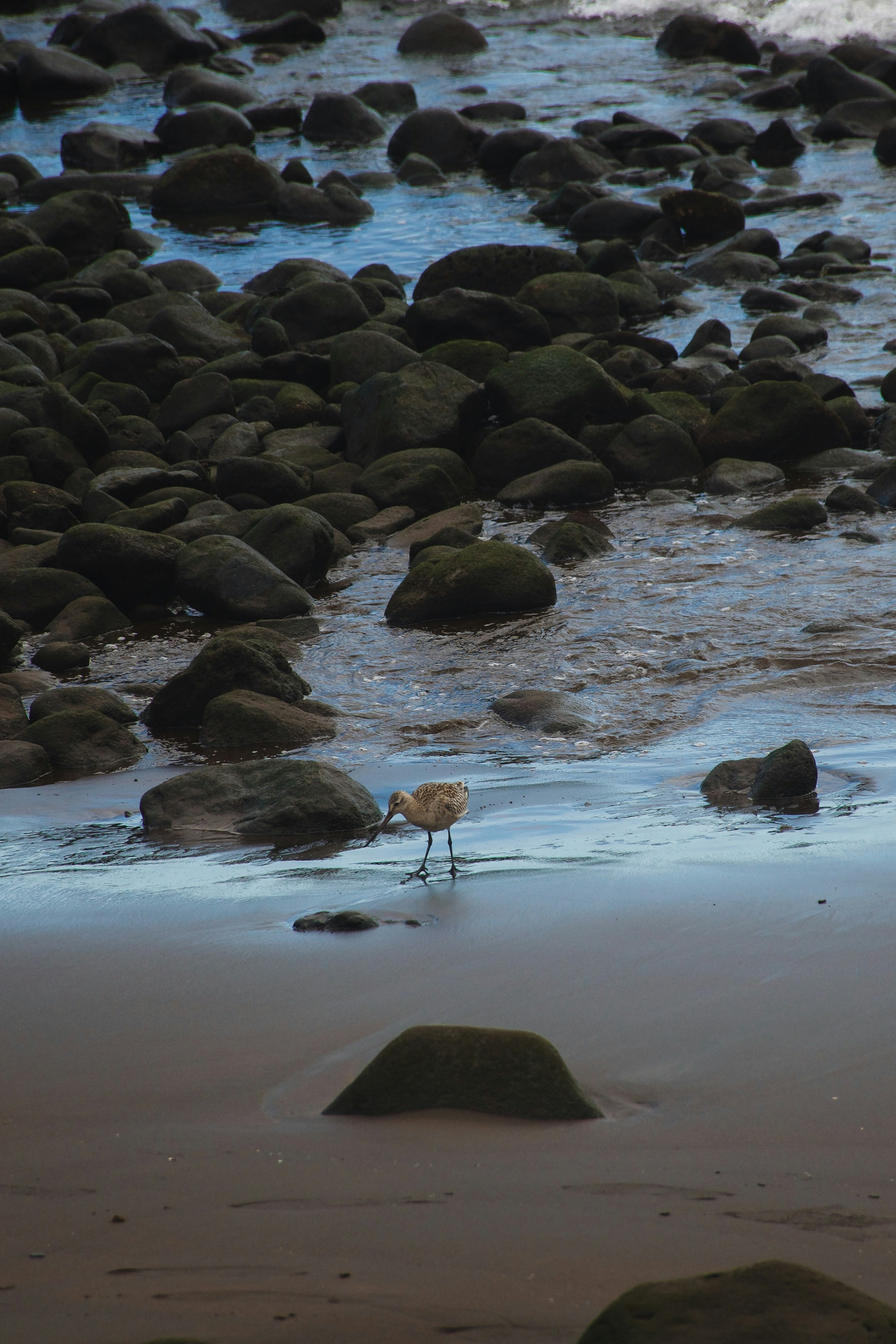 Photo by wheresalina