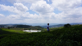 Smiling coffee farmer standing in a lush green coffee plantation under a bright sky.