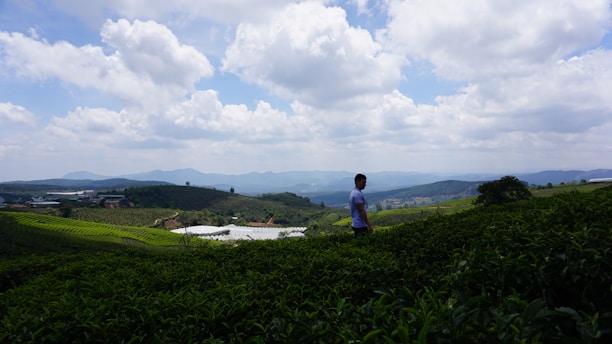 Smiling coffee farmer standing in a lush green coffee plantation under a bright sky.