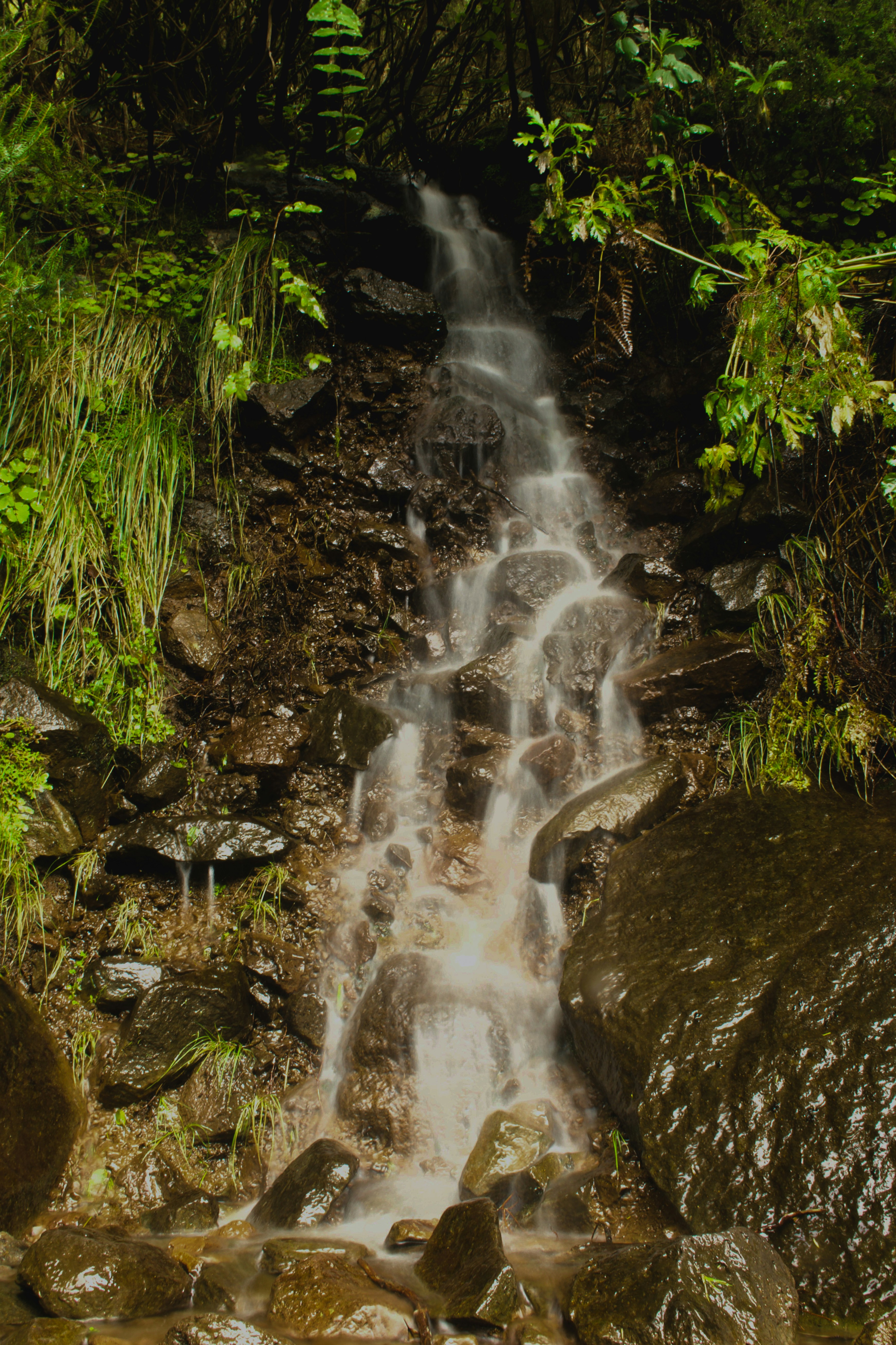 Photo by wheresalina