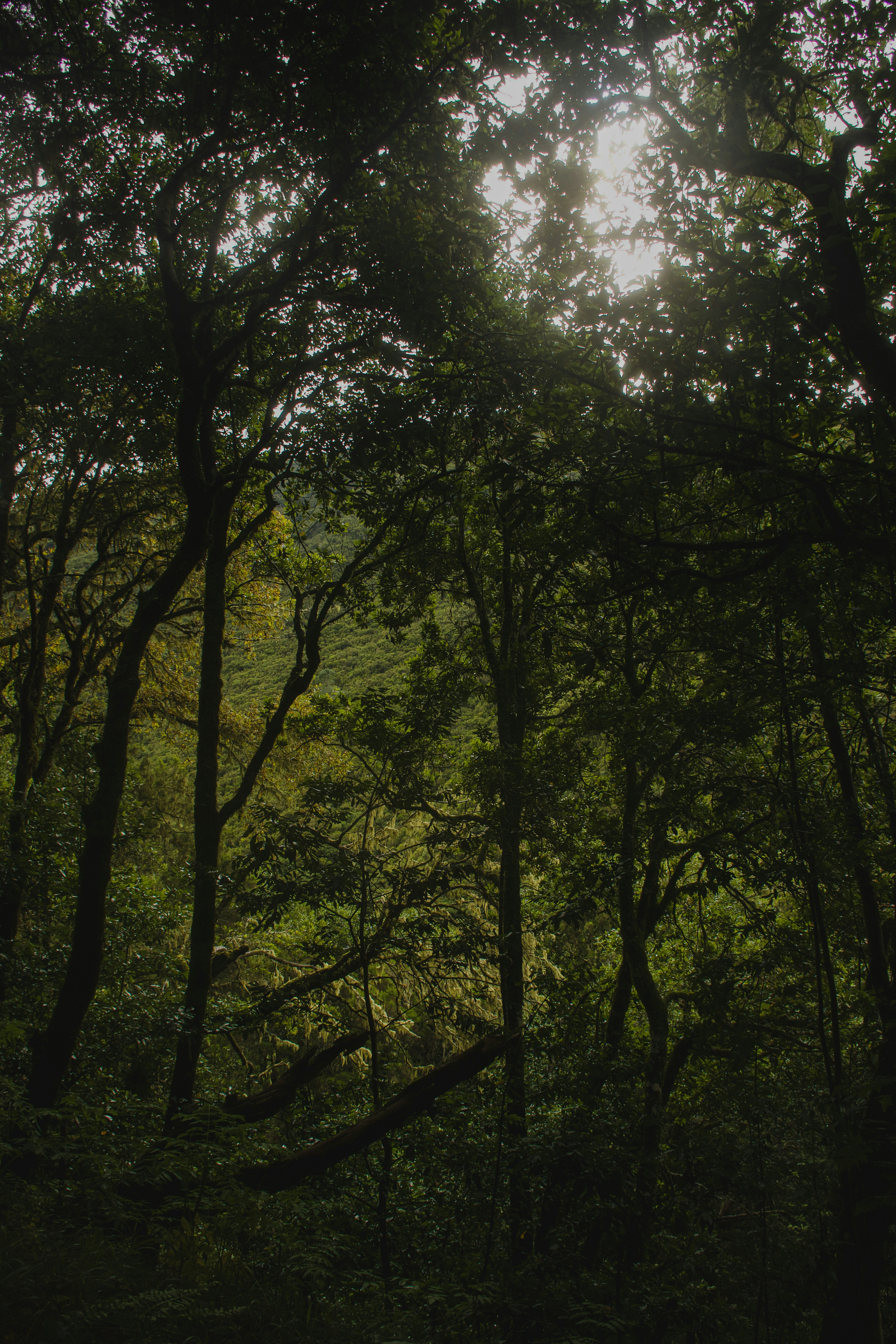 Photo by wheresalina