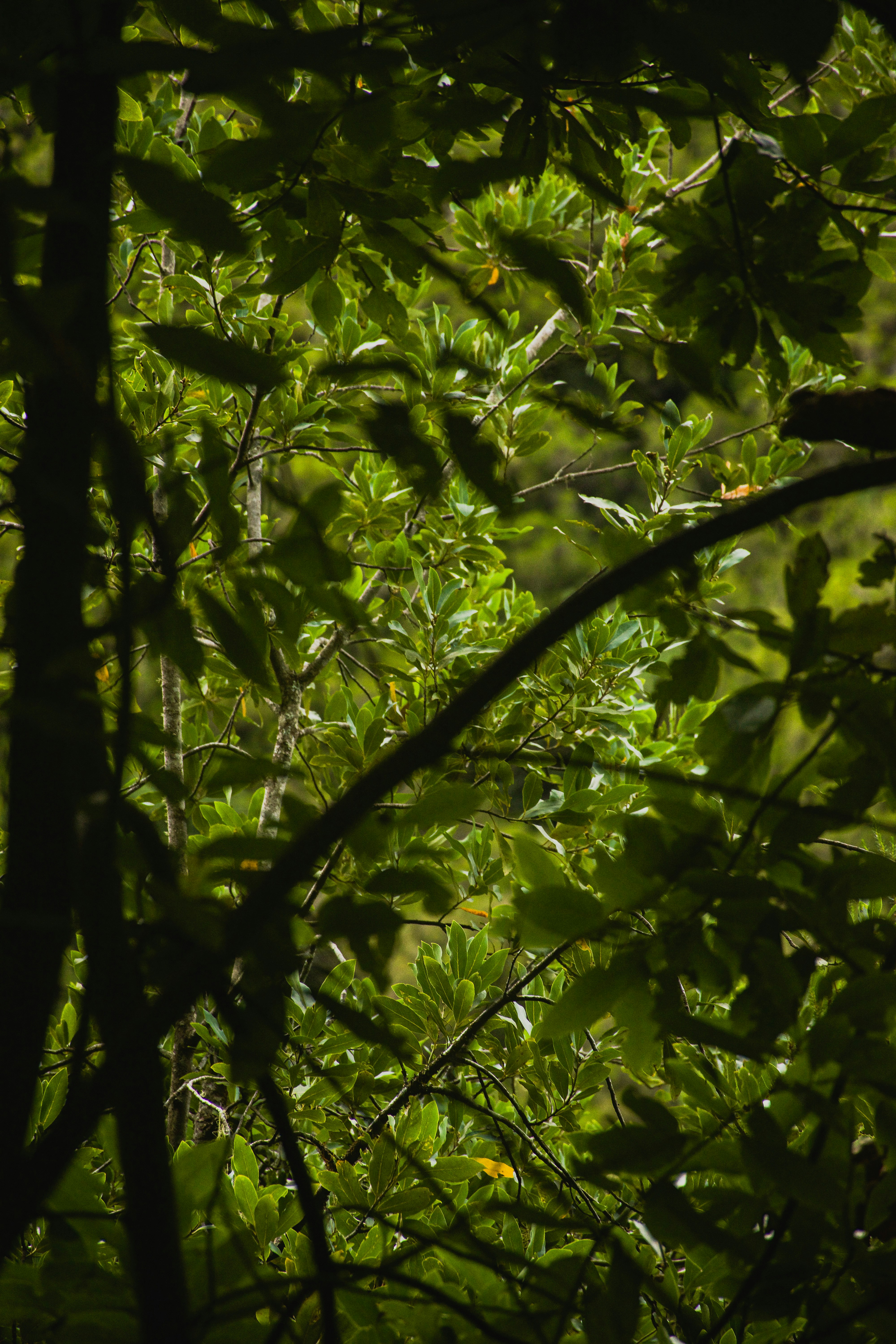 Photo by wheresalina