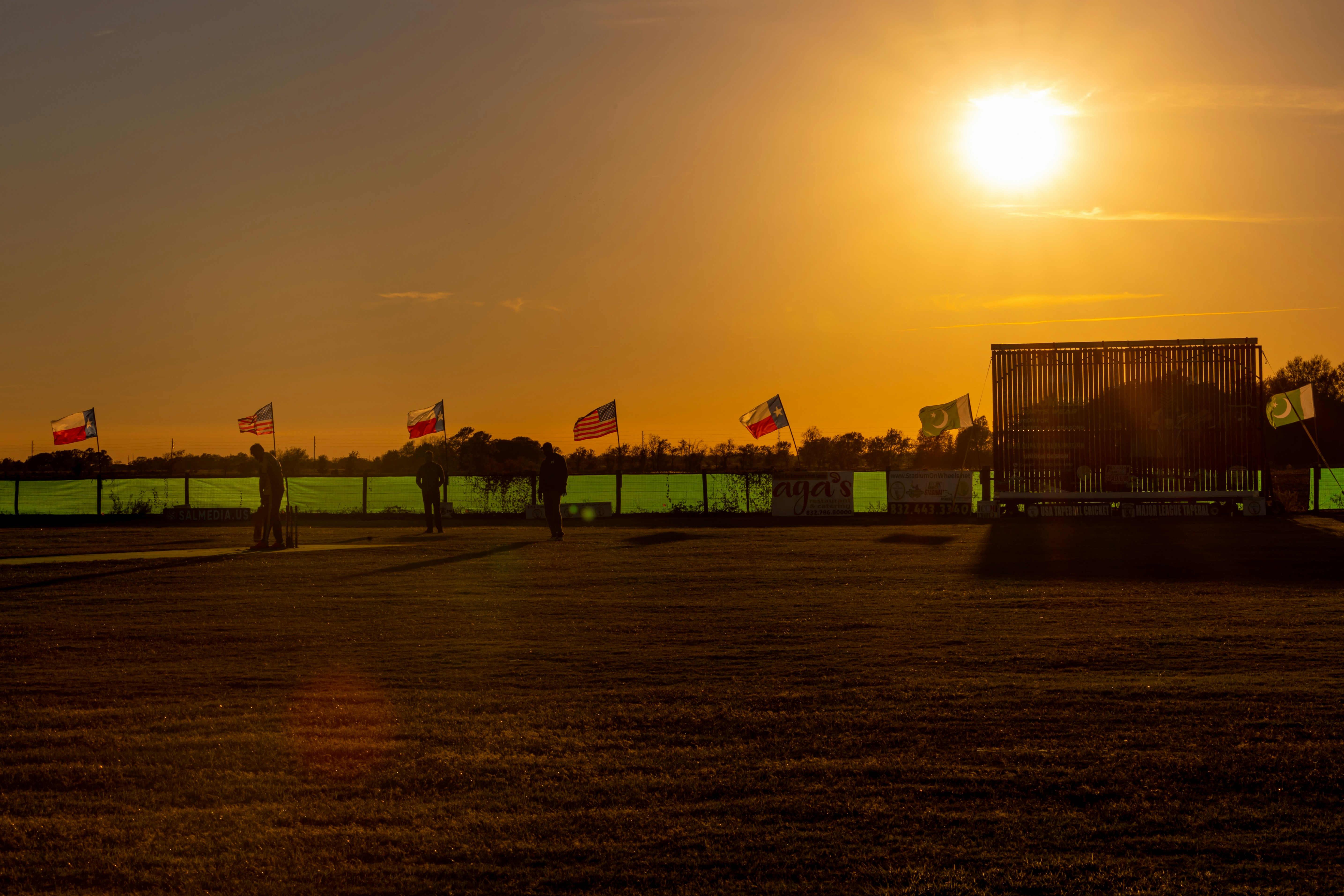 a group of horses on a track