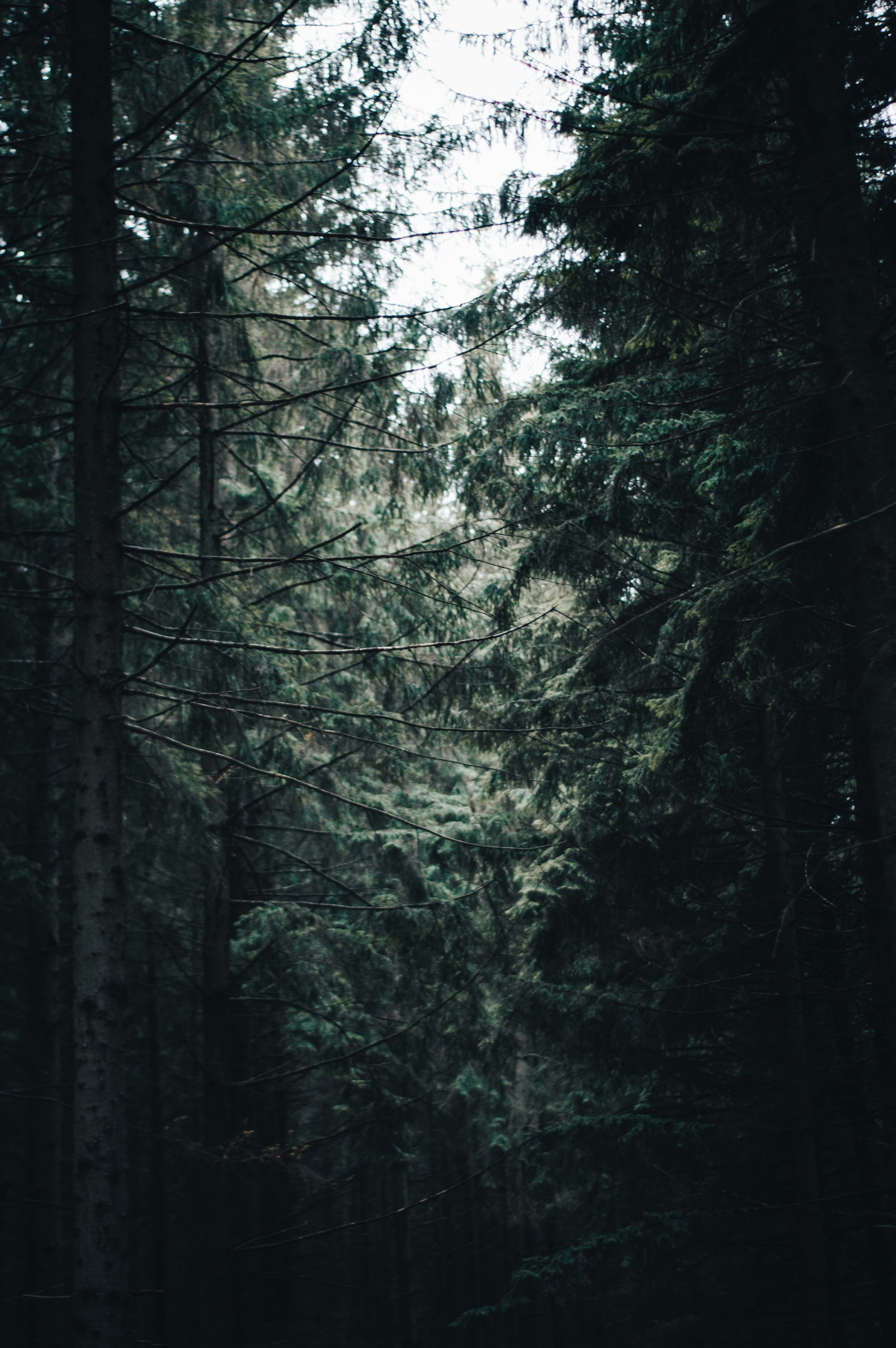 Photo by alex_emanuel20