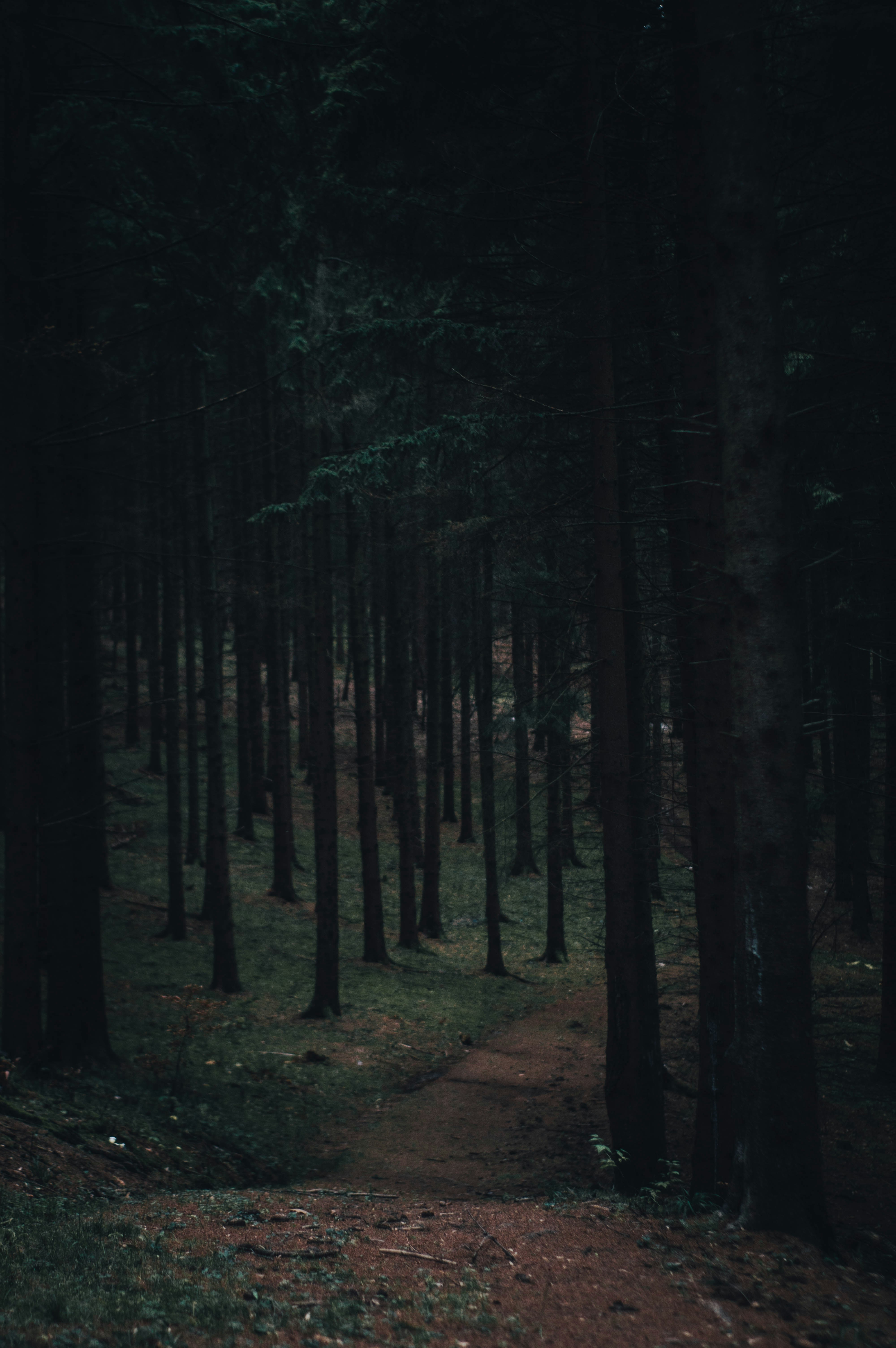 Photo by alex_emanuel20