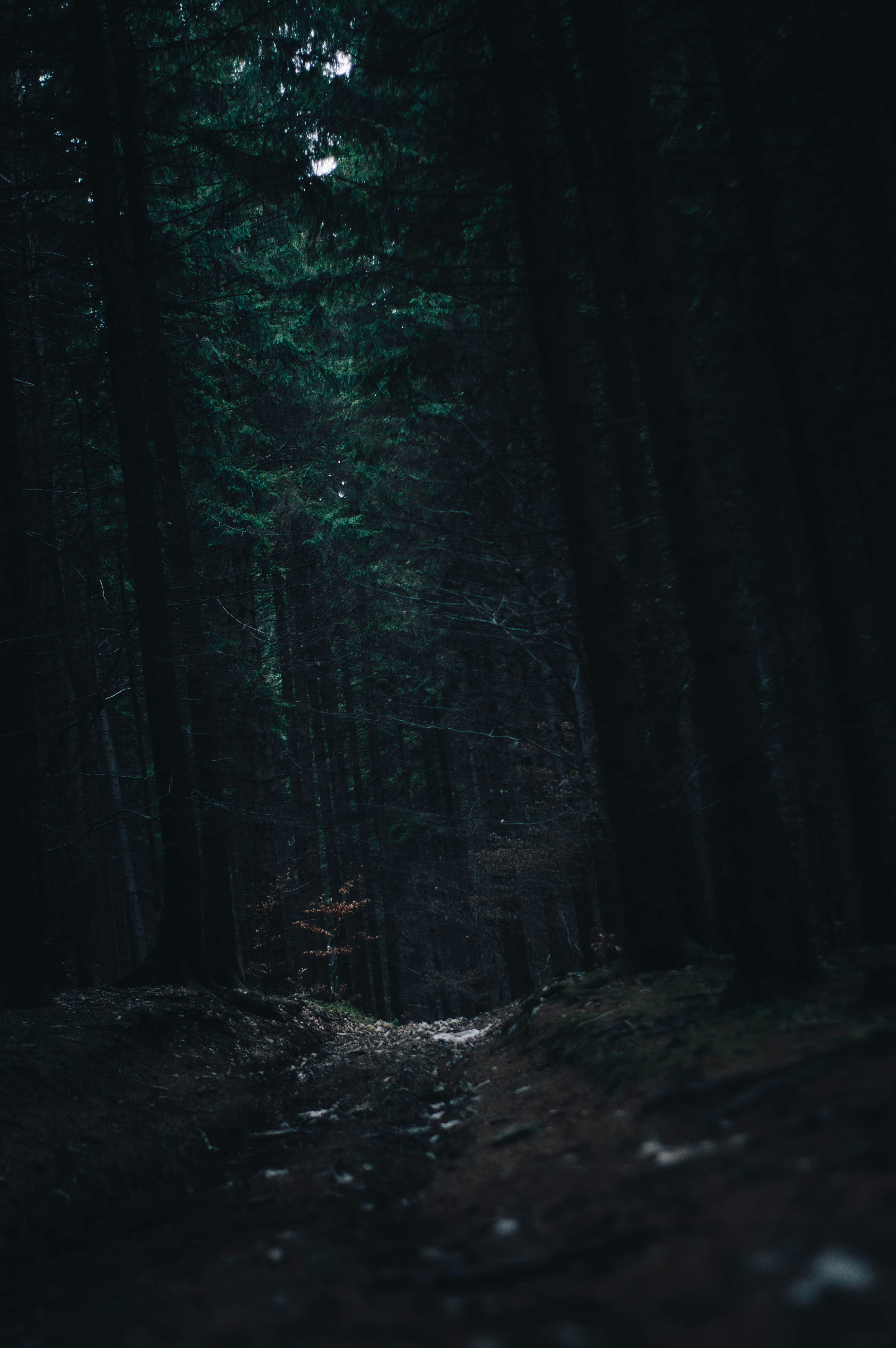 Photo by alex_emanuel20