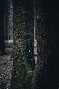 A rugged tactical hiking stick leaning against a mossy tree in a dense forest.