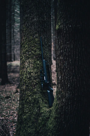 A close-up of a hunting rifle resting against a tree trunk in the dim light of the forest.