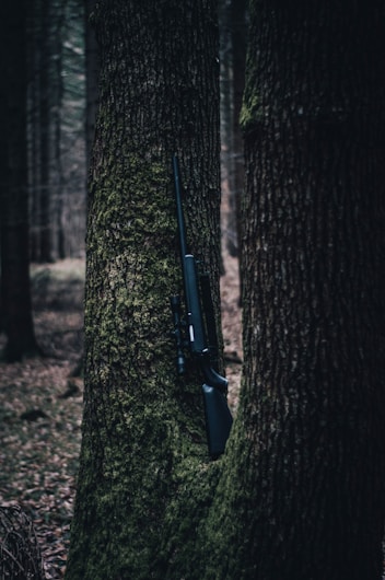 A rifle is leaning against a tree covered with moss in a dense forest. The surrounding environment is dark and shadowy with tall trees extending into the distance.