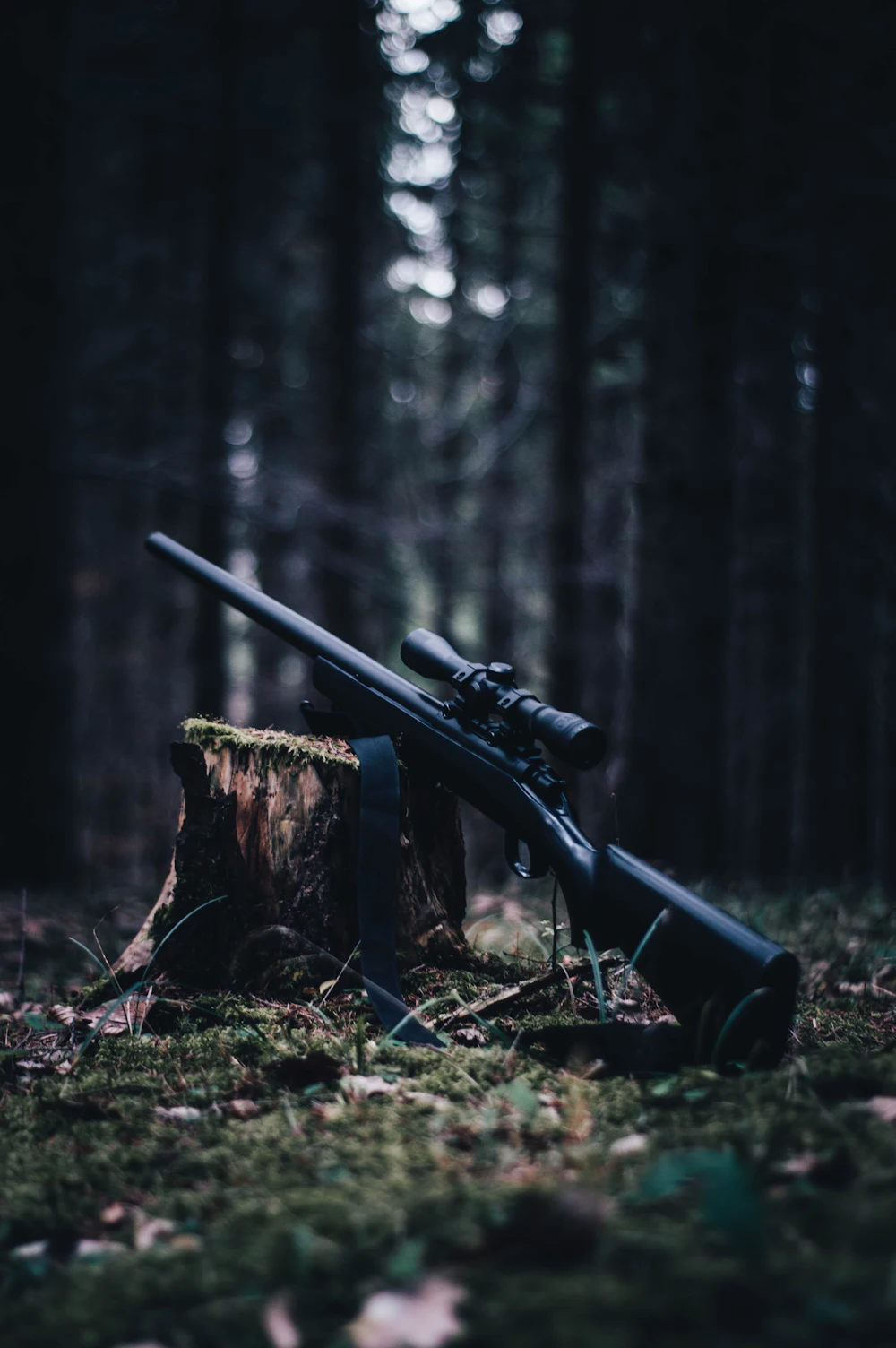Kivääri asetettuna kannolle metsässä