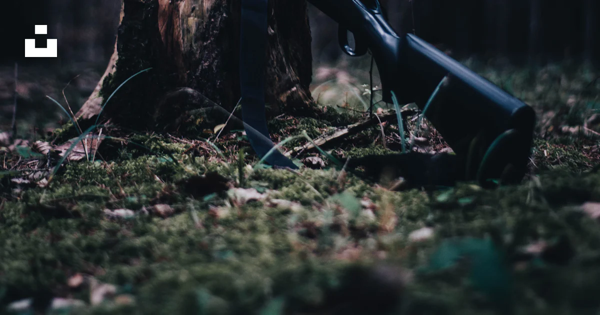 A gun on a tree stump photo – Free Image on Unsplash