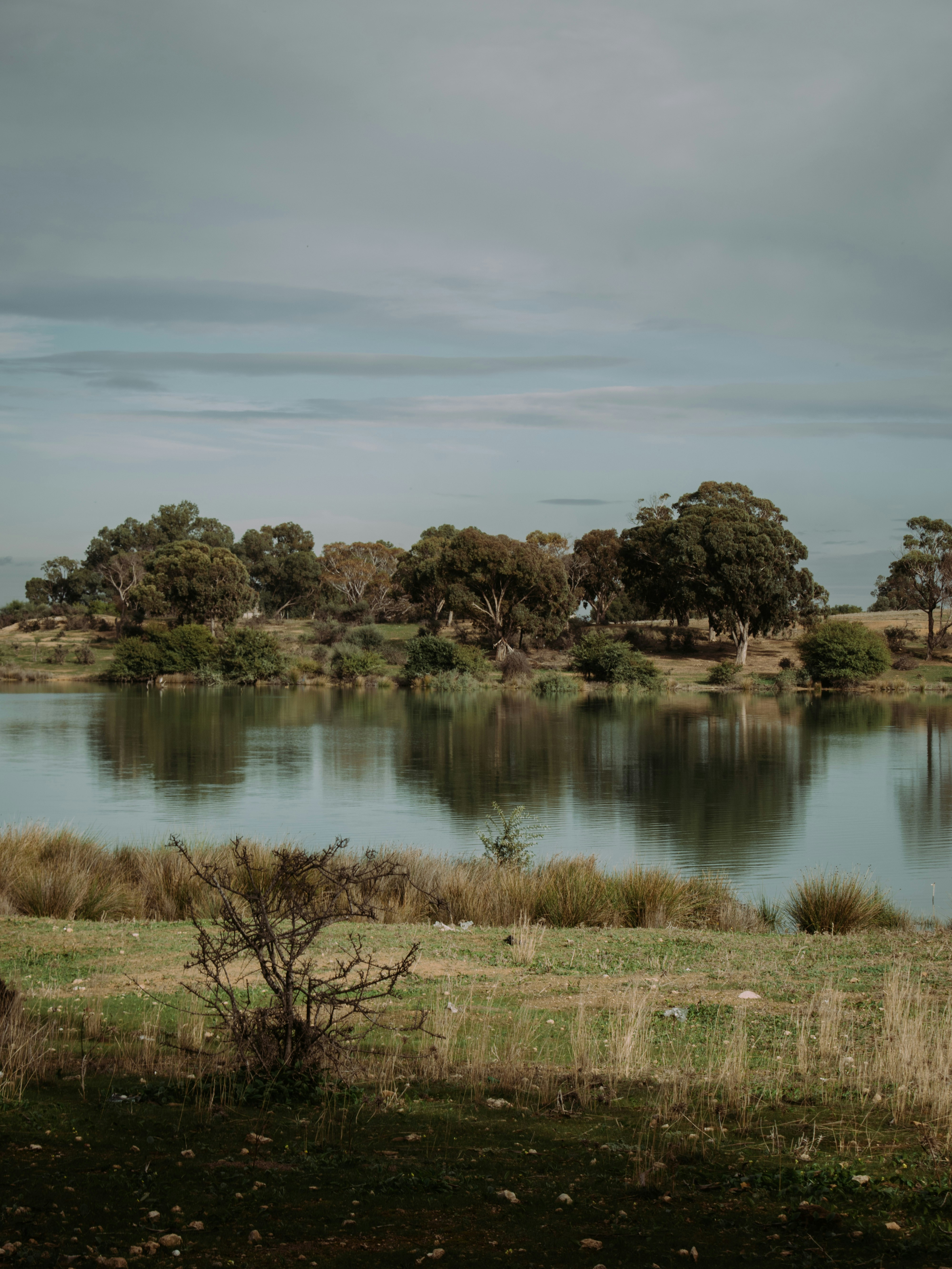 Photo by bilal_ayadi