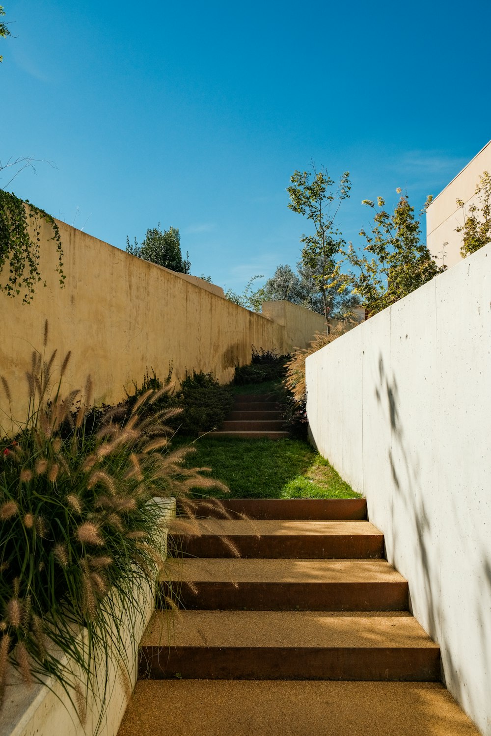 a set of stairs leading up to a wall