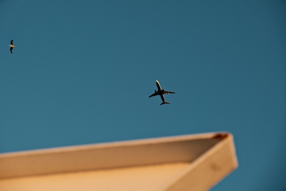 Un couple d’hélicoptères volant dans le ciel