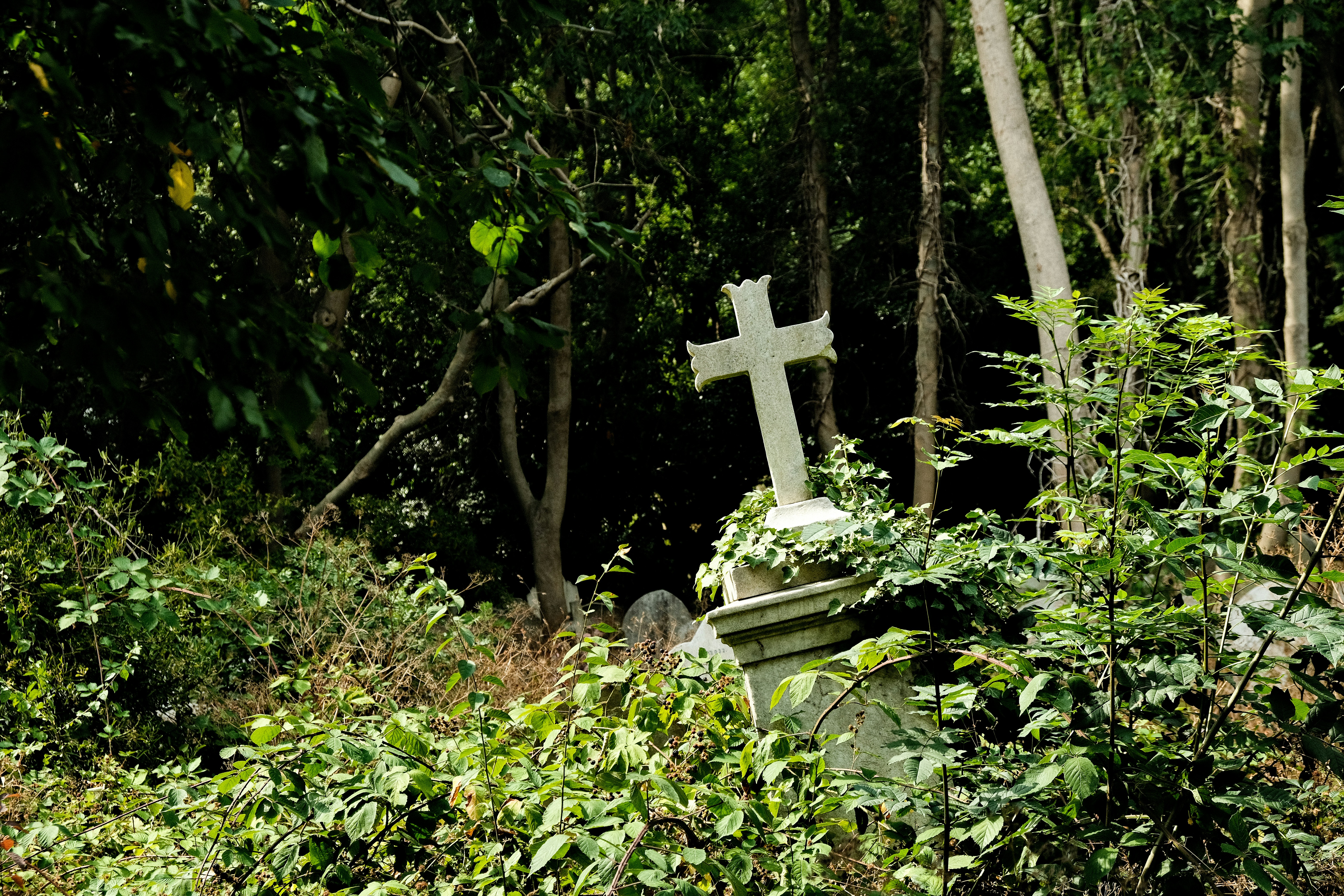 Eine Bank mitten im Wald